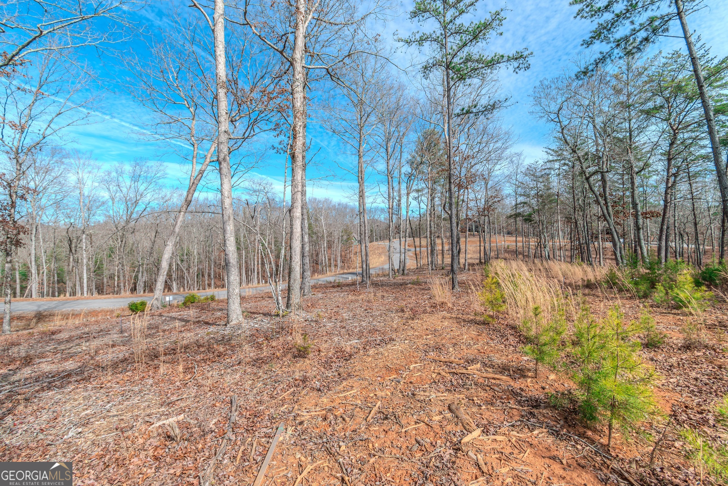 Lot 61 Ridges Drive Blue Ridge GA 30513