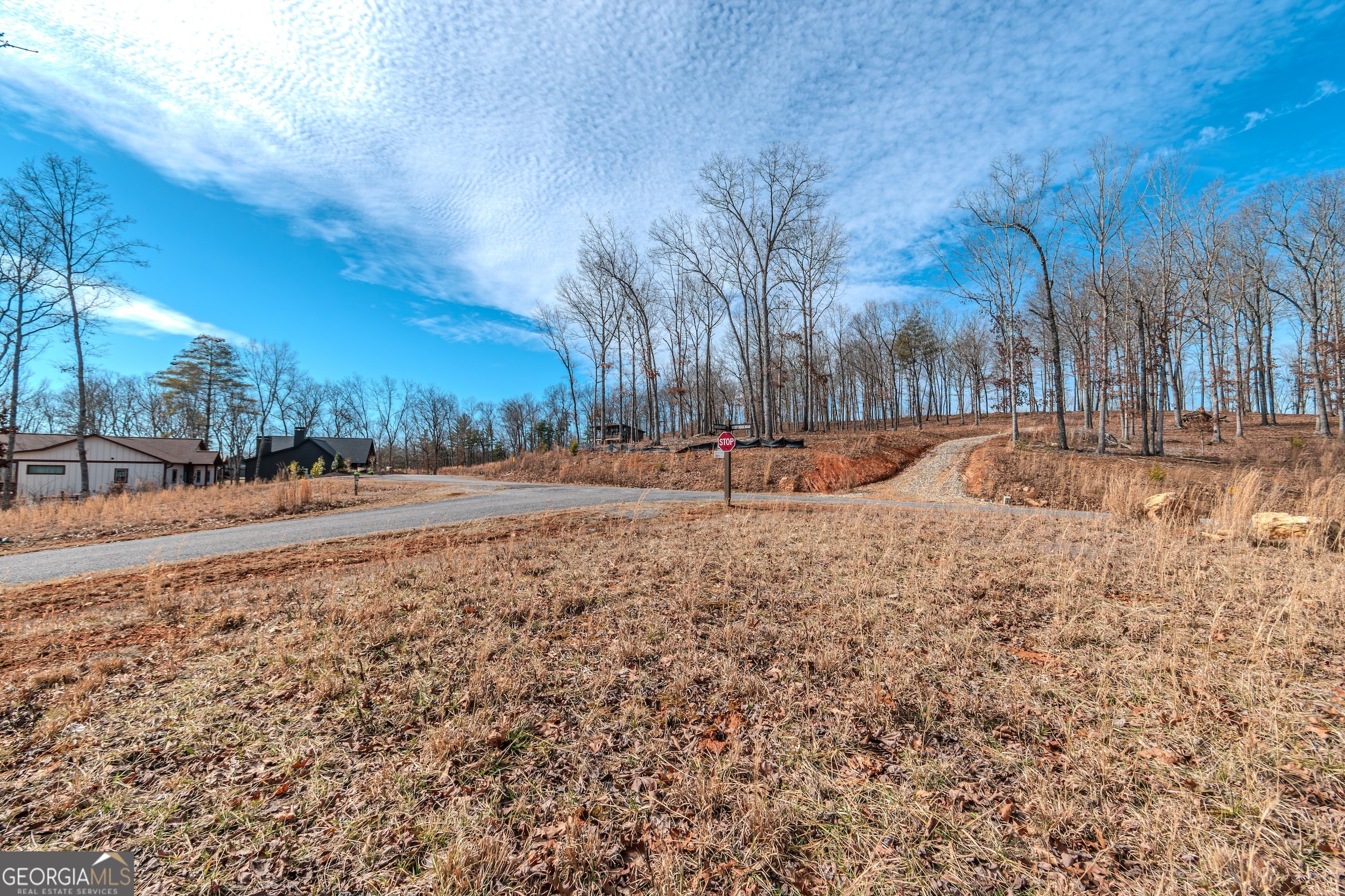 Lot 61 Ridges Drive Blue Ridge GA 30513