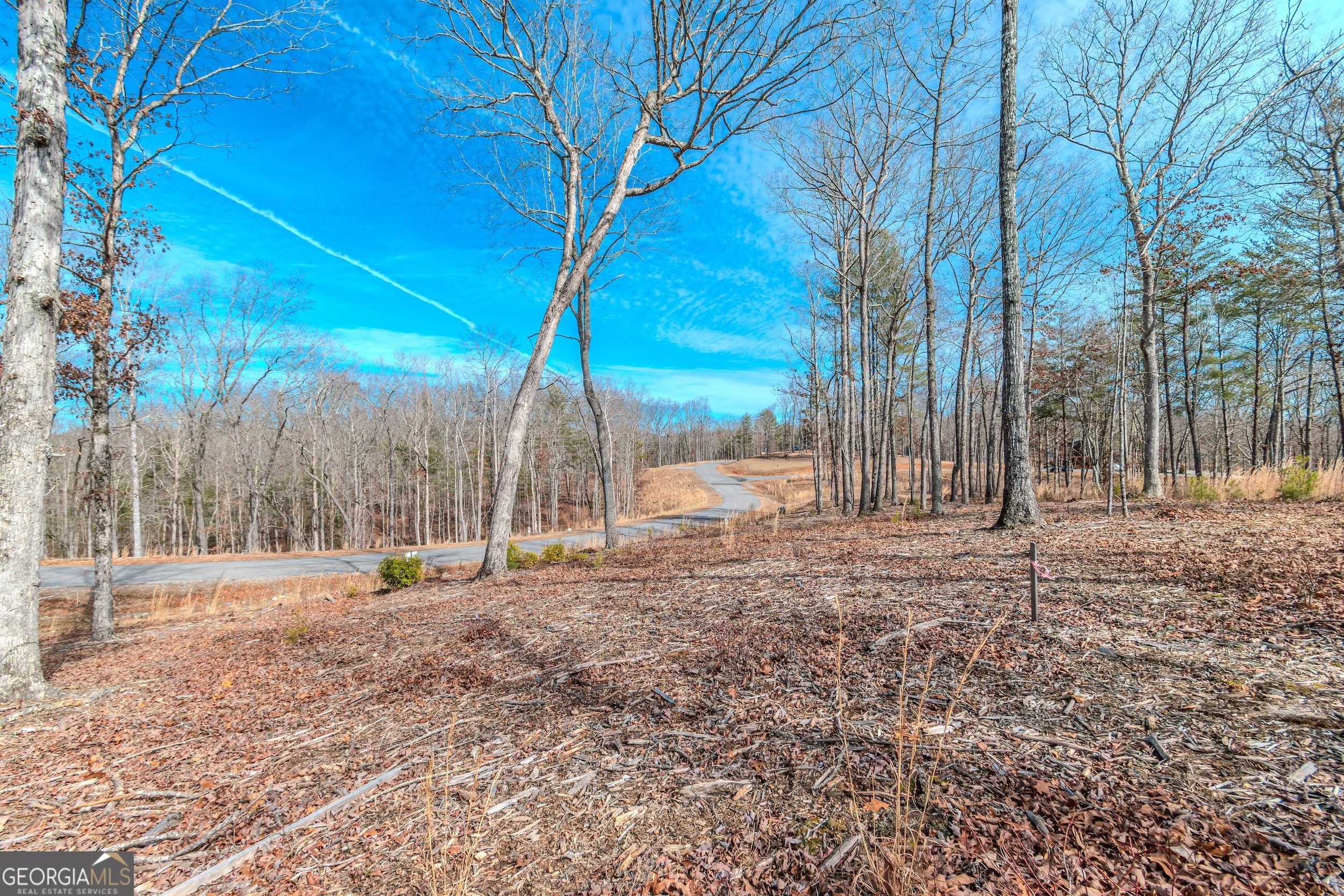 Lot 61 Ridges Drive Blue Ridge GA 30513