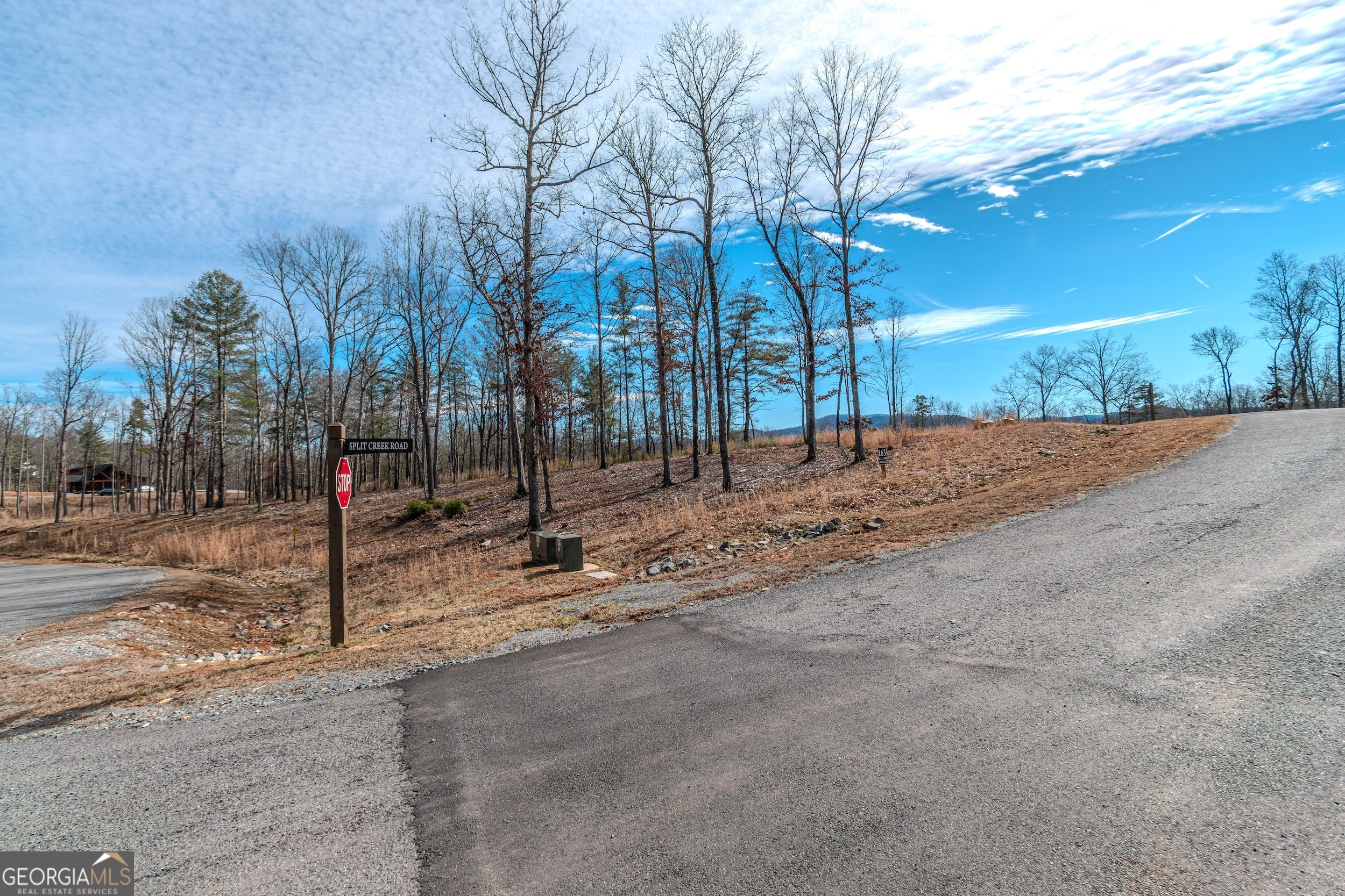 Lot 61 Ridges Drive Blue Ridge GA 30513