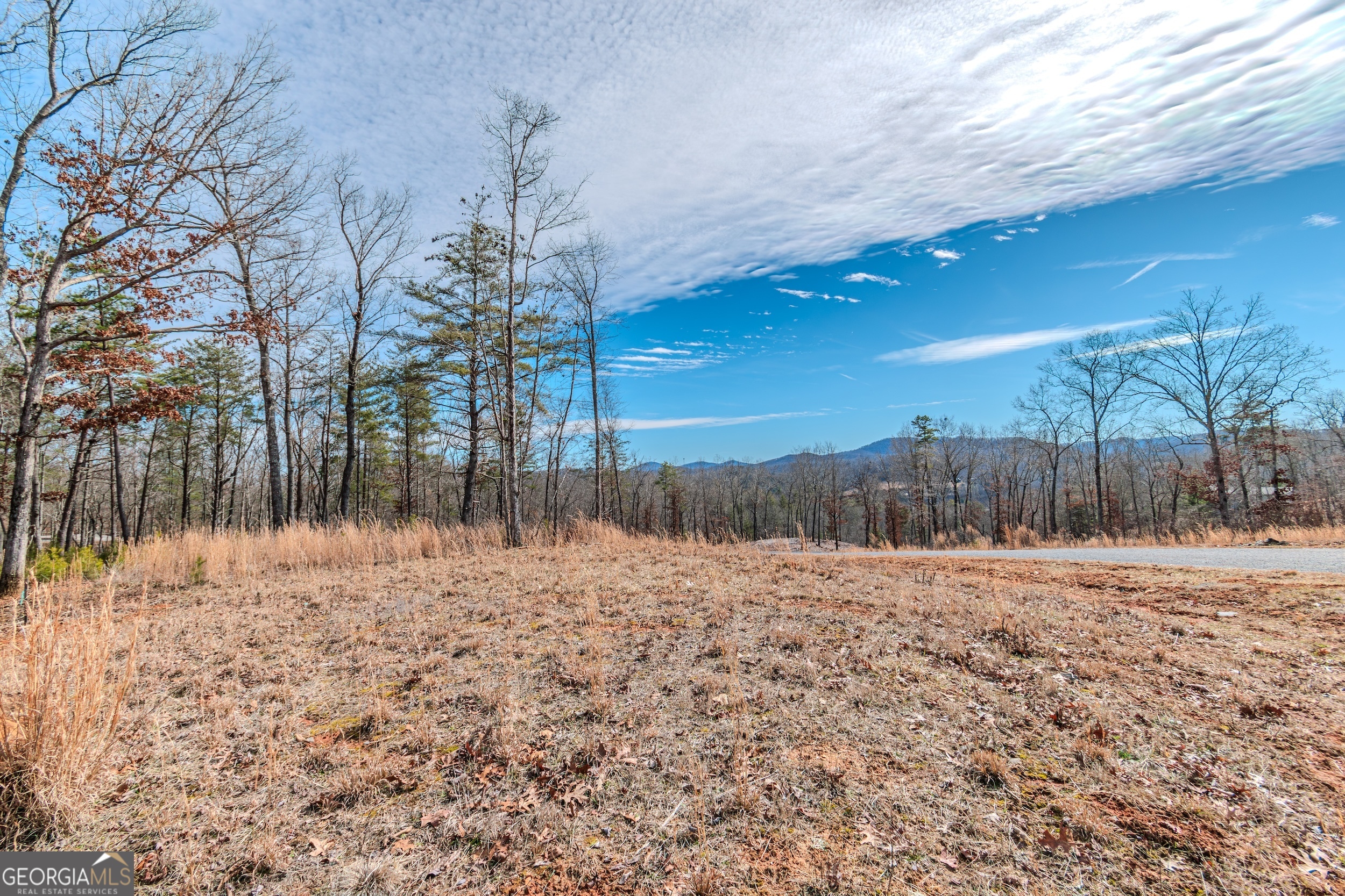 Lot 61 Ridges Drive Blue Ridge GA 30513