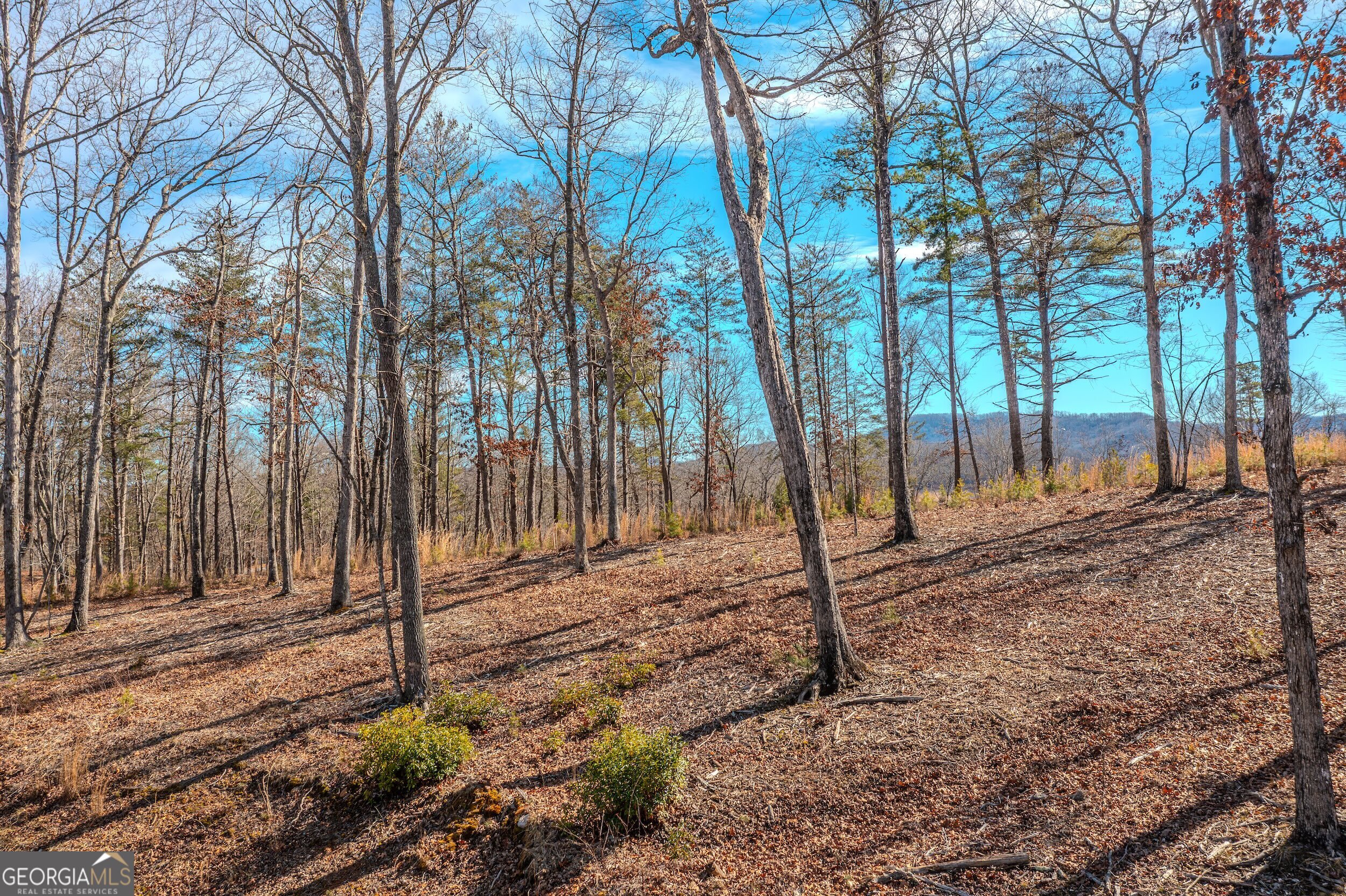 Lot 61 Ridges Drive Blue Ridge GA 30513
