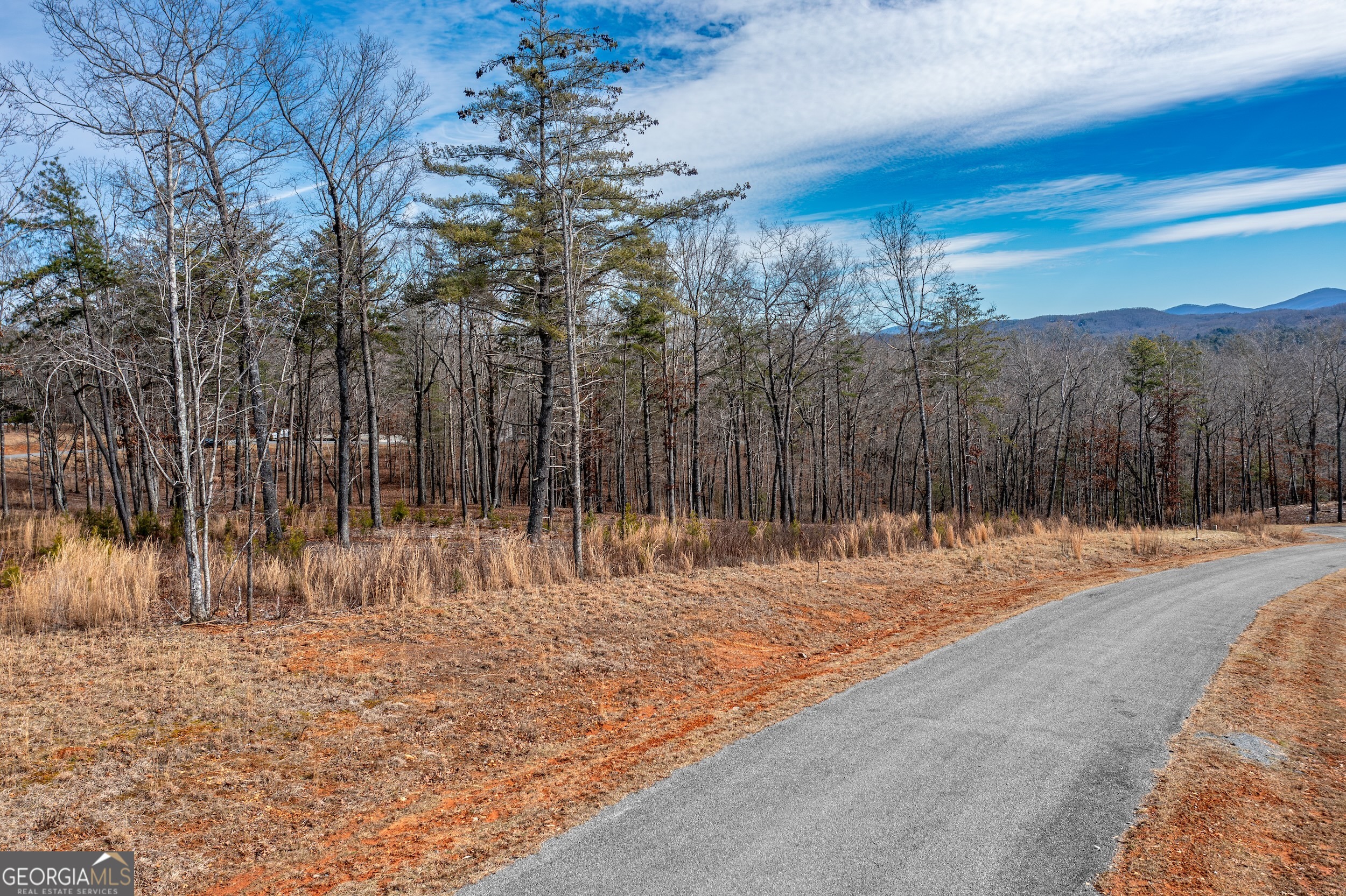Lot 61 Ridges Drive Blue Ridge GA 30513