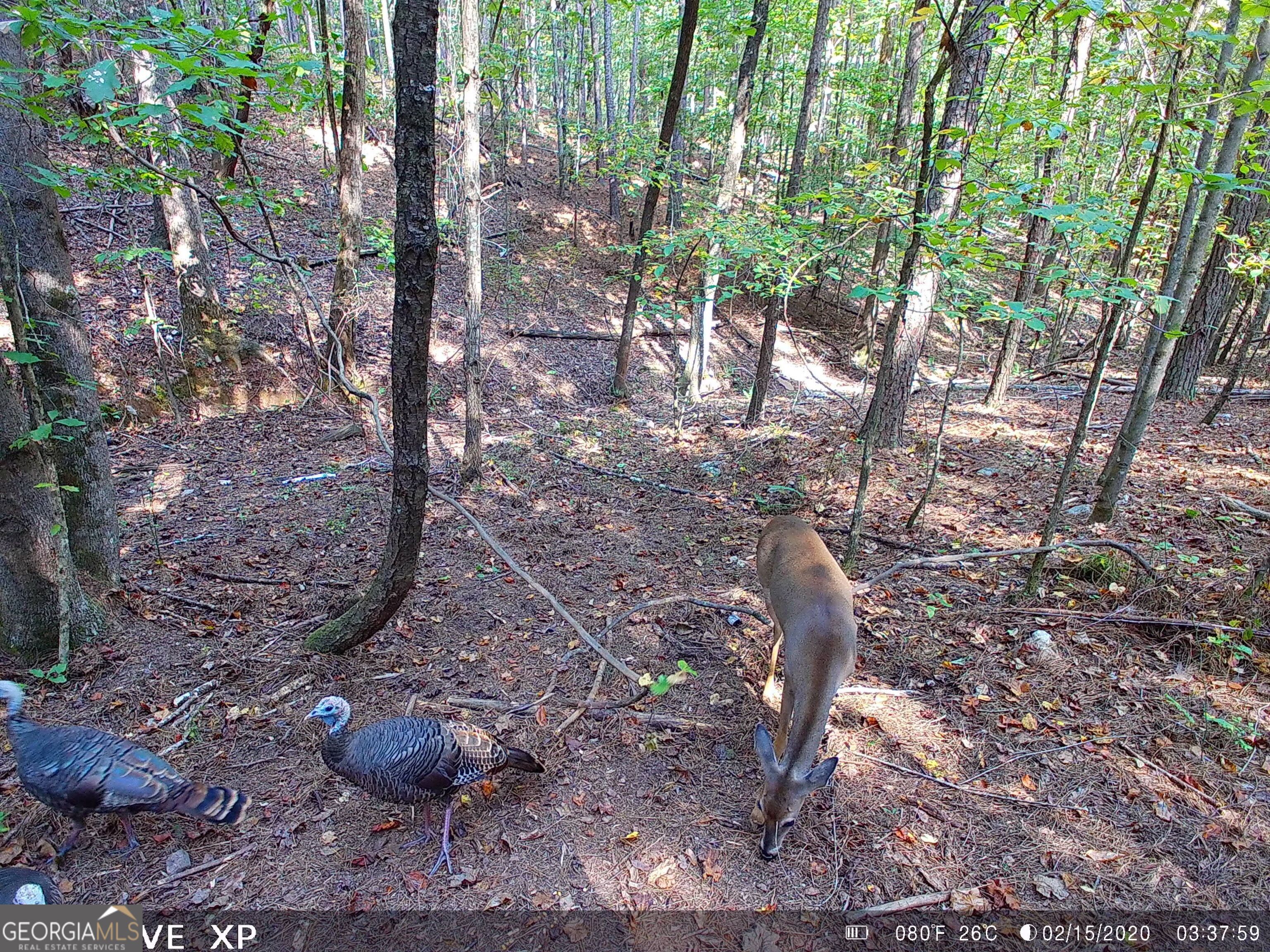 0 Husley Trail Canton GA 30114