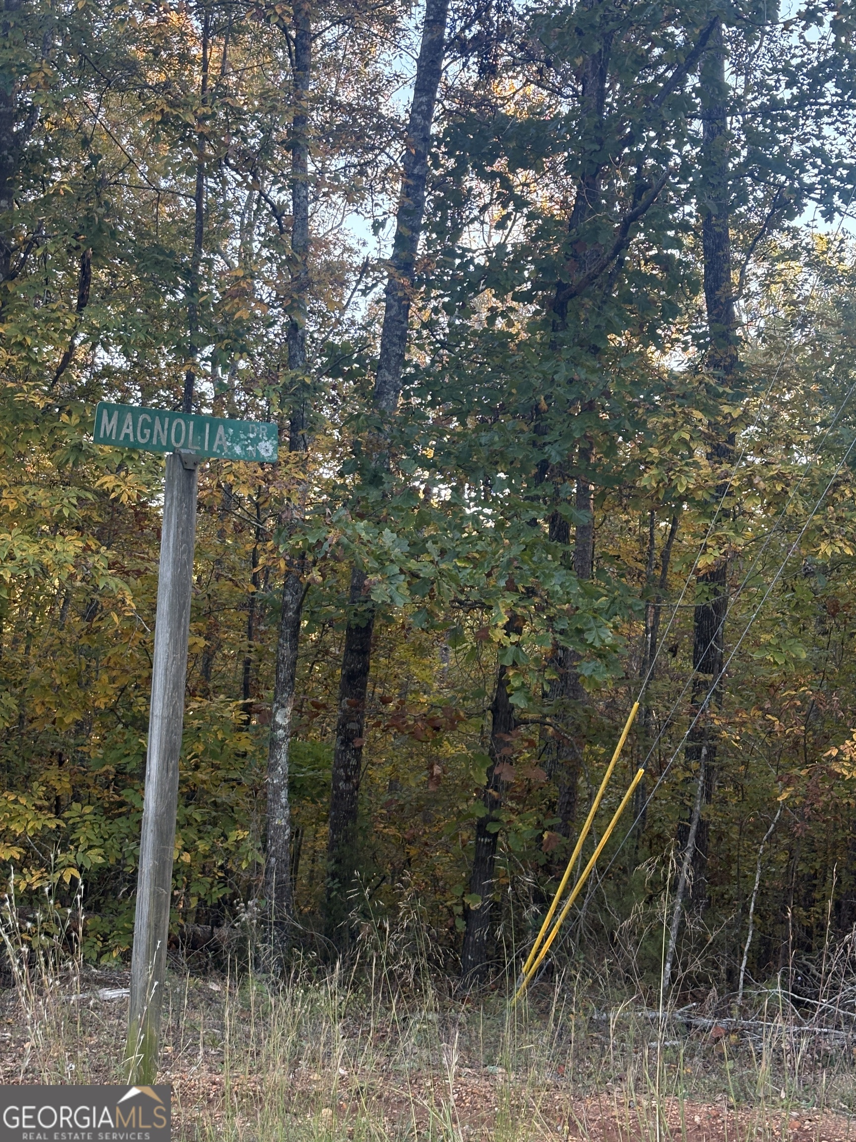 105 Magnolia Drive NW Milledgeville GA 31061