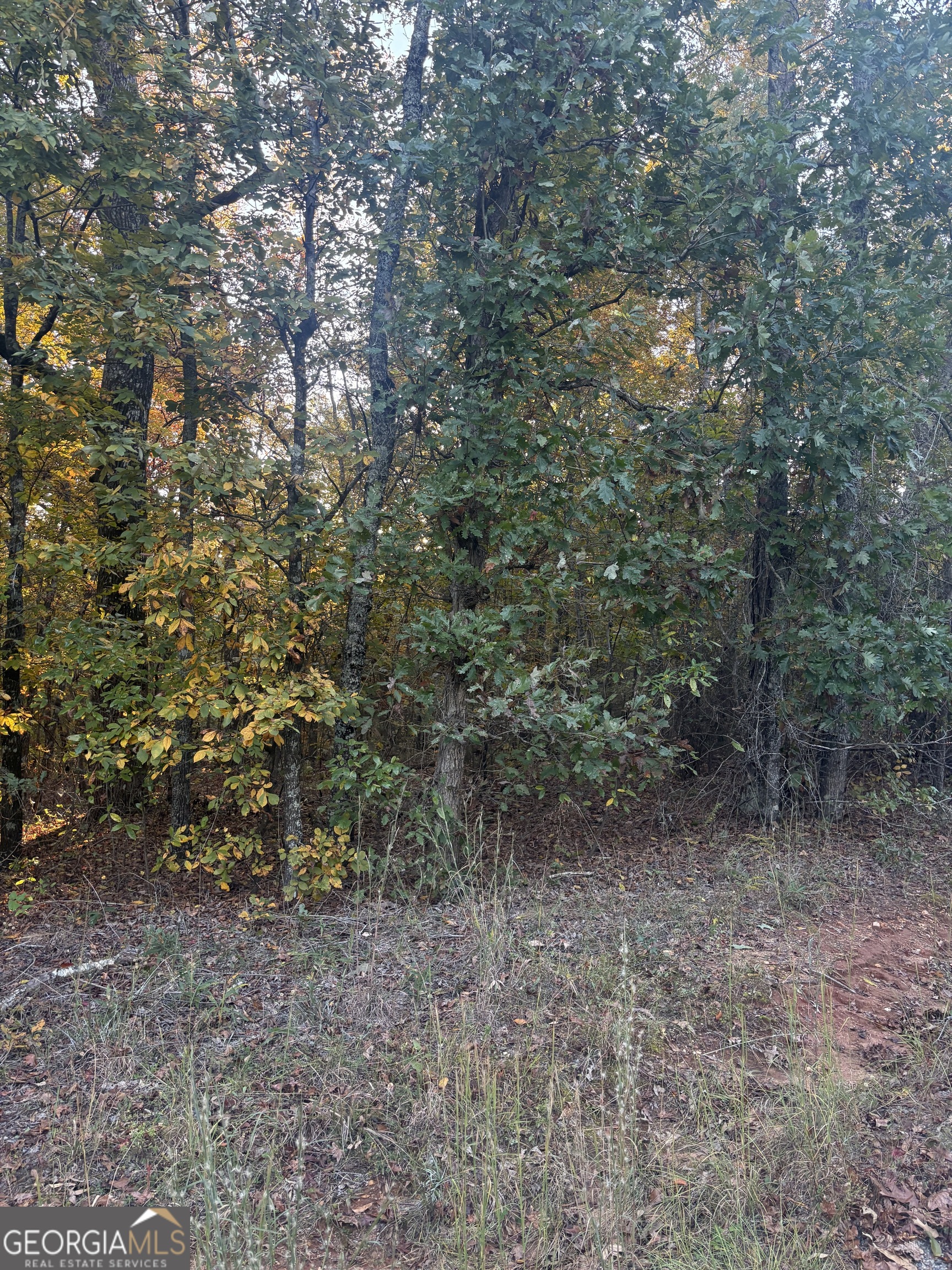 105 Magnolia Drive NW Milledgeville GA 31061
