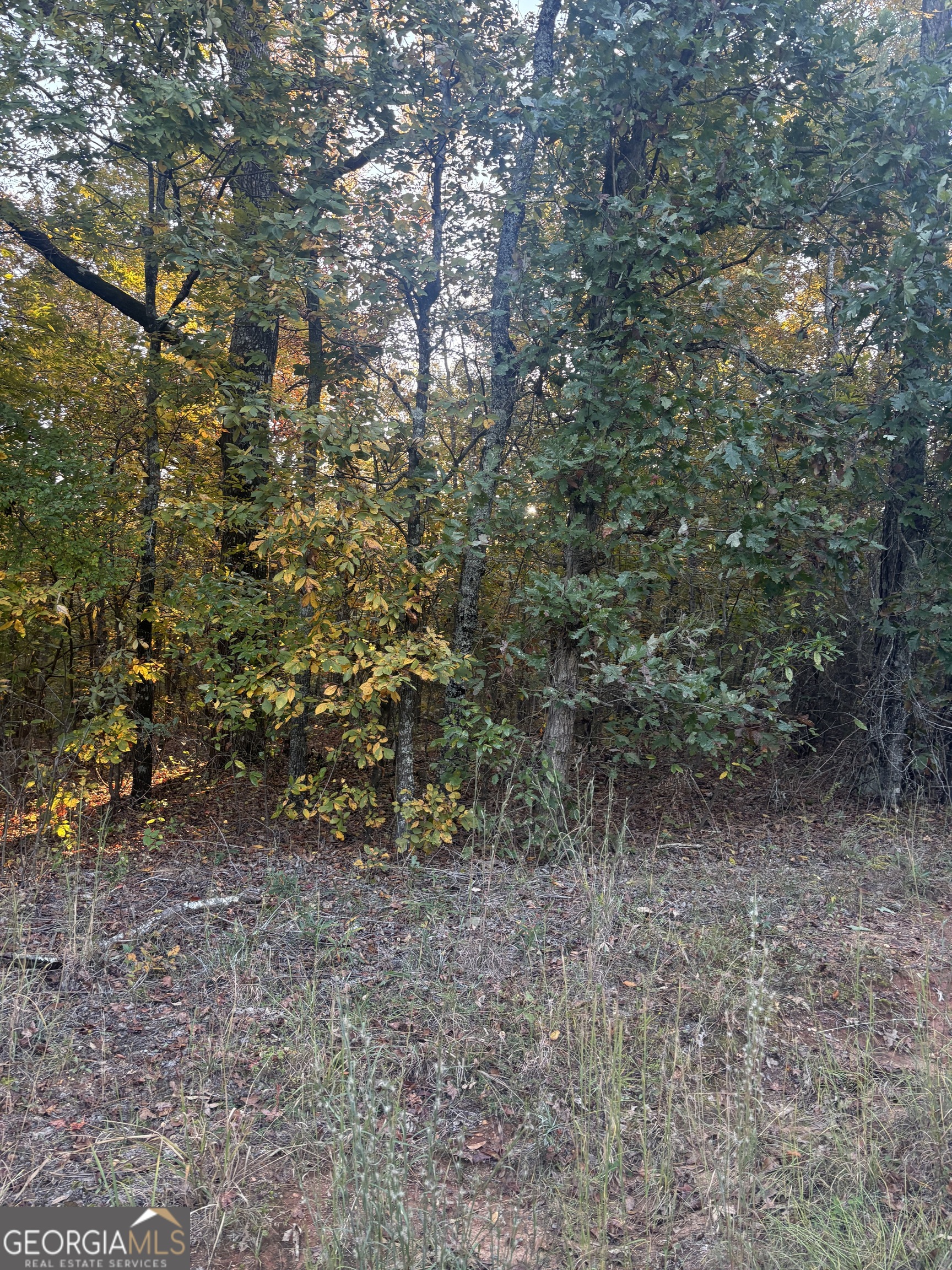 105 Magnolia Drive NW Milledgeville GA 31061