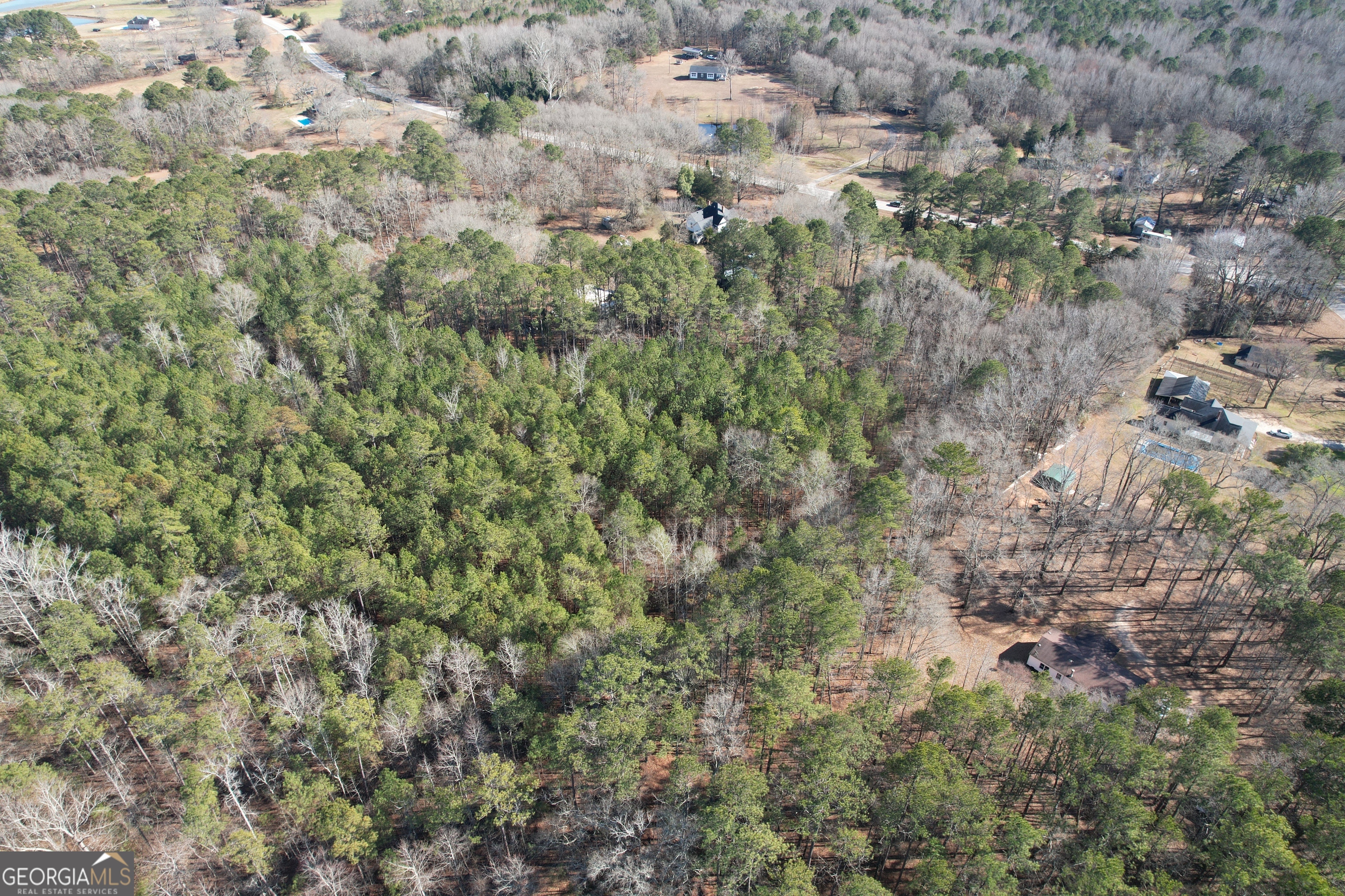Tract 1 Highway 109 Zebulon GA 30295