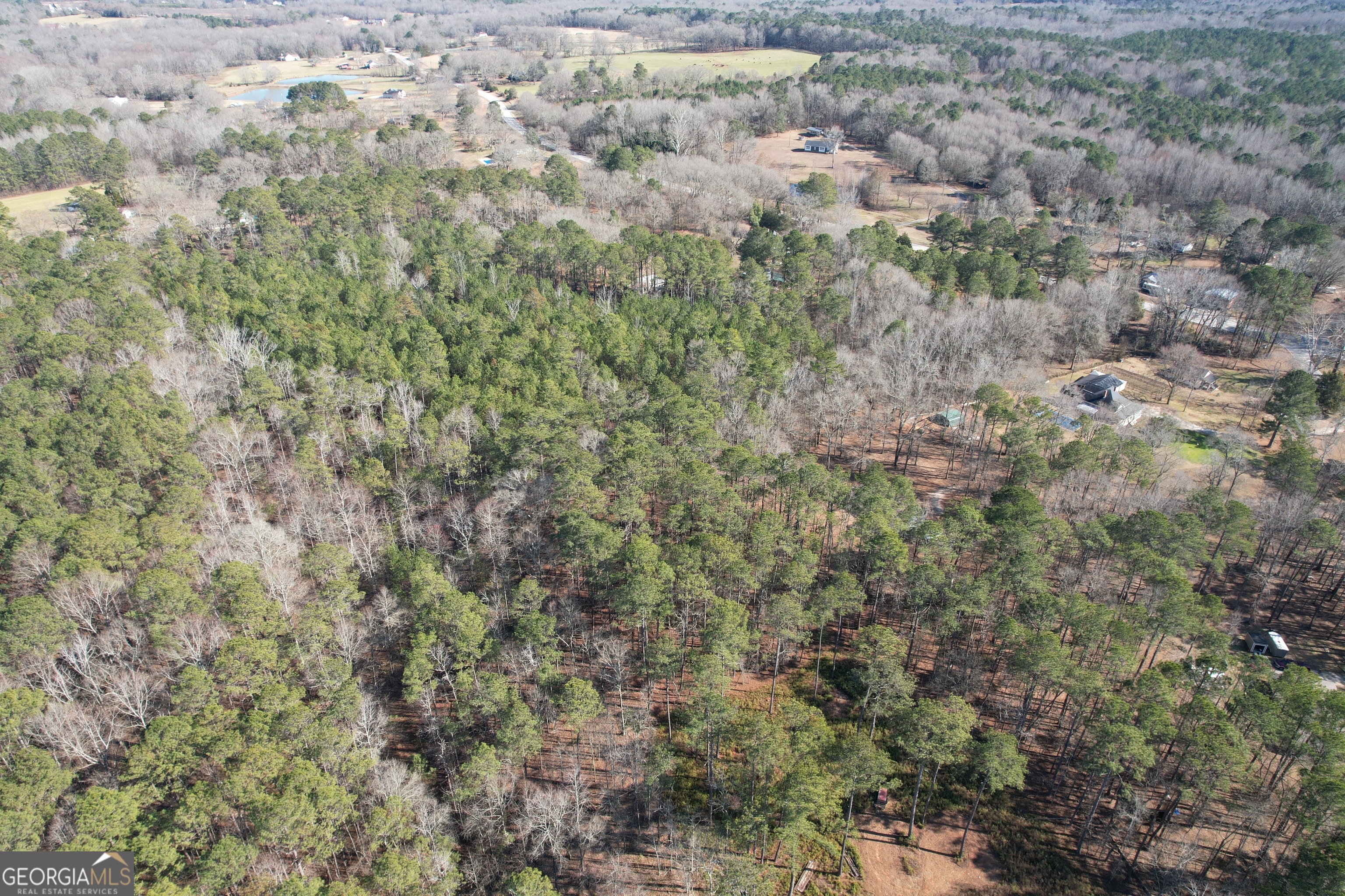 Tract 1 Highway 109 Zebulon GA 30295