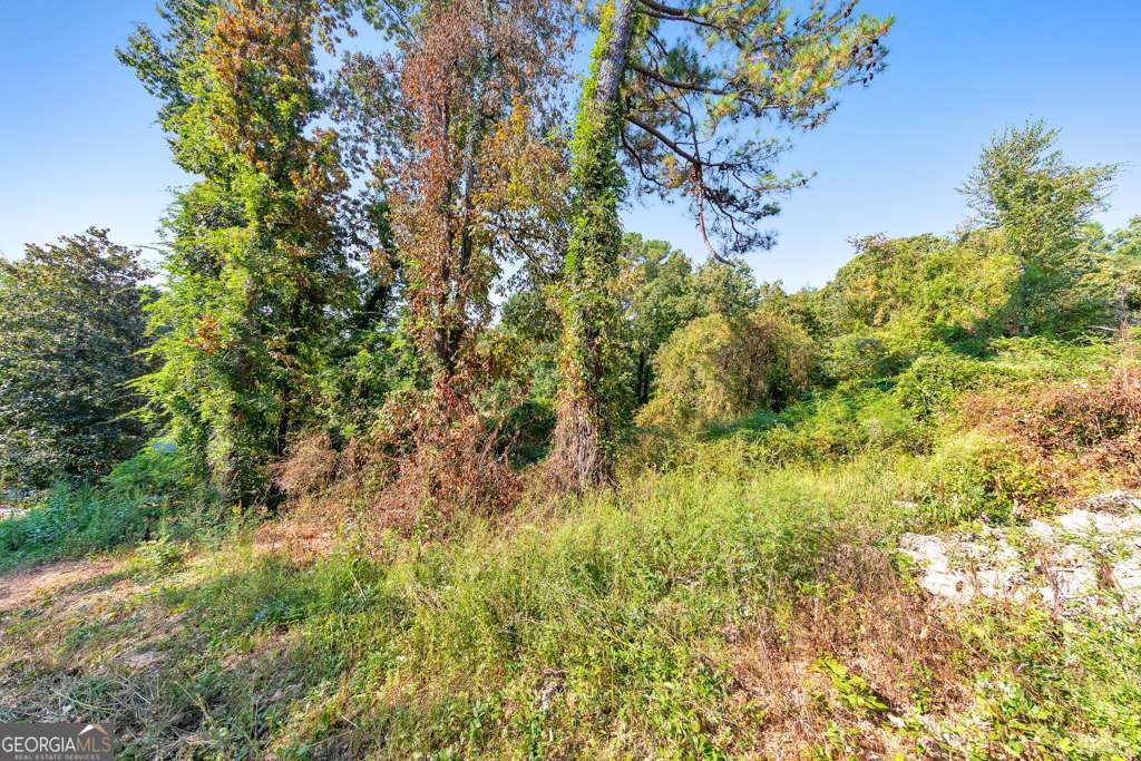 3609 King Drive Douglasville GA 30135