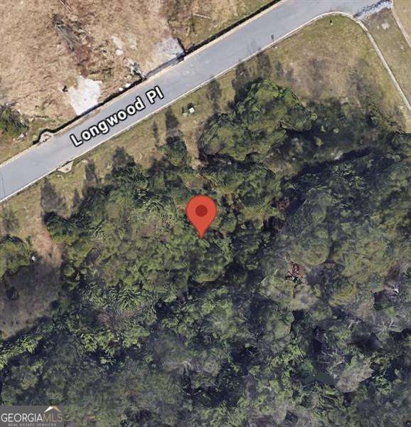 425 Longwood Place Dallas GA 30132