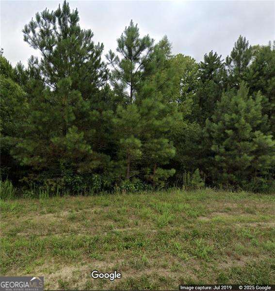 425 Longwood Place Dallas GA 30132