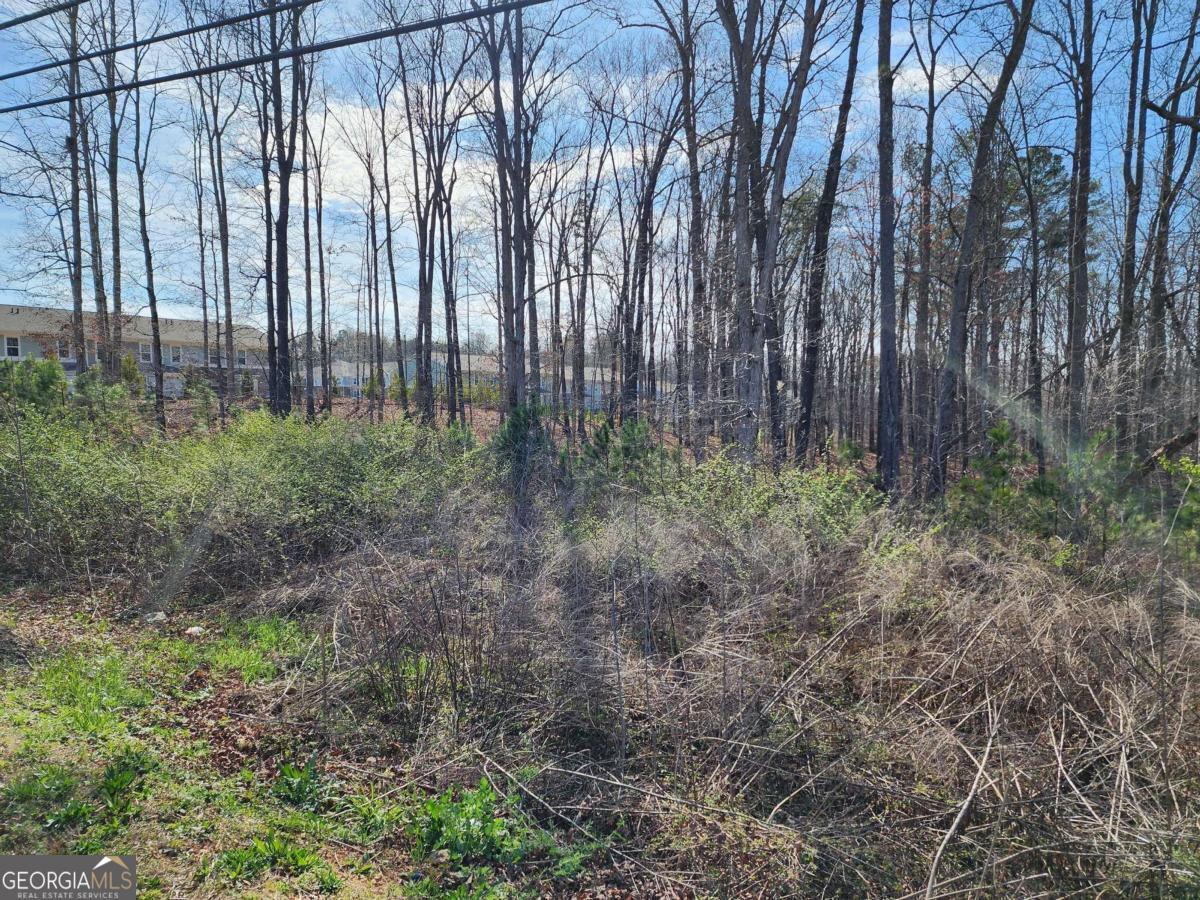 0 Highway 92 Douglasville GA 30134