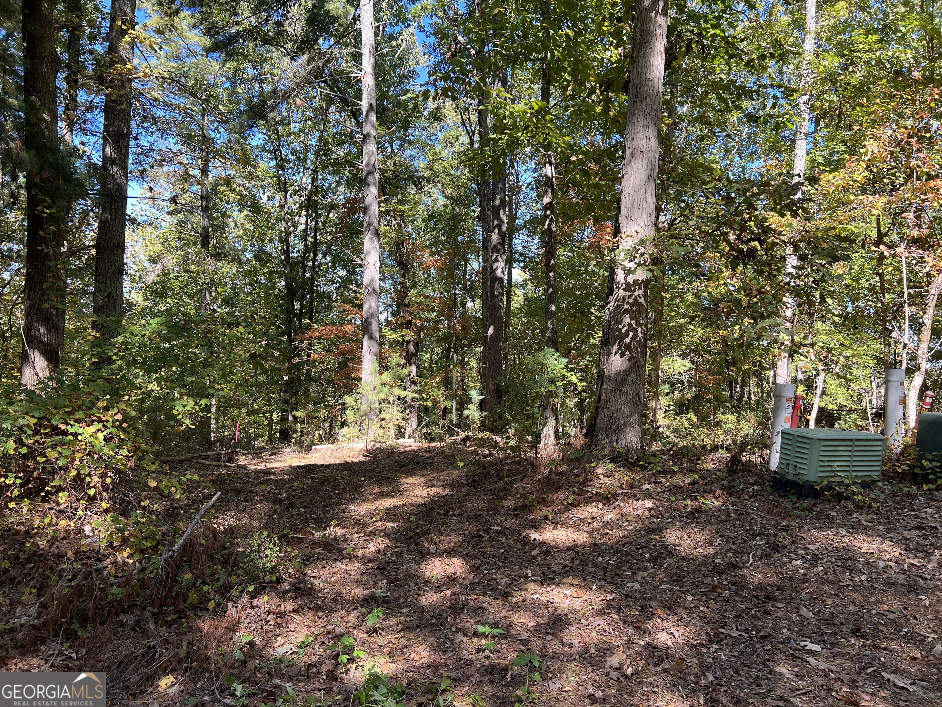 3320 Winterberry Court Gainesville GA 30501