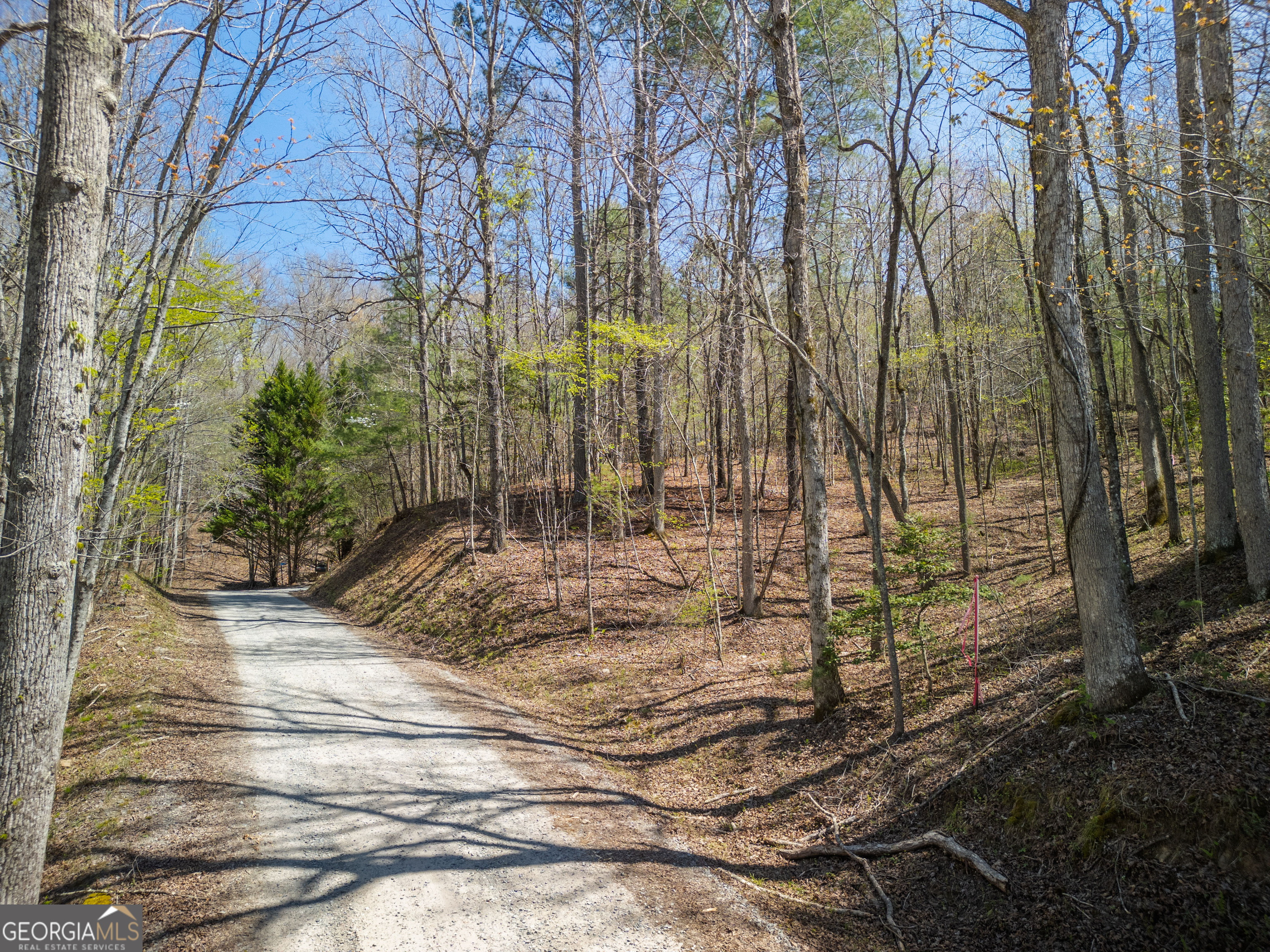 1.02 Acres Jennifer Lane Mineral Bluff GA 30559