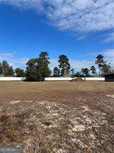 Parcel 2 Shellman Bluff Road NE Townsend GA 31331