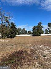 Parcel 2 Shellman Bluff Road NE Townsend GA 31331