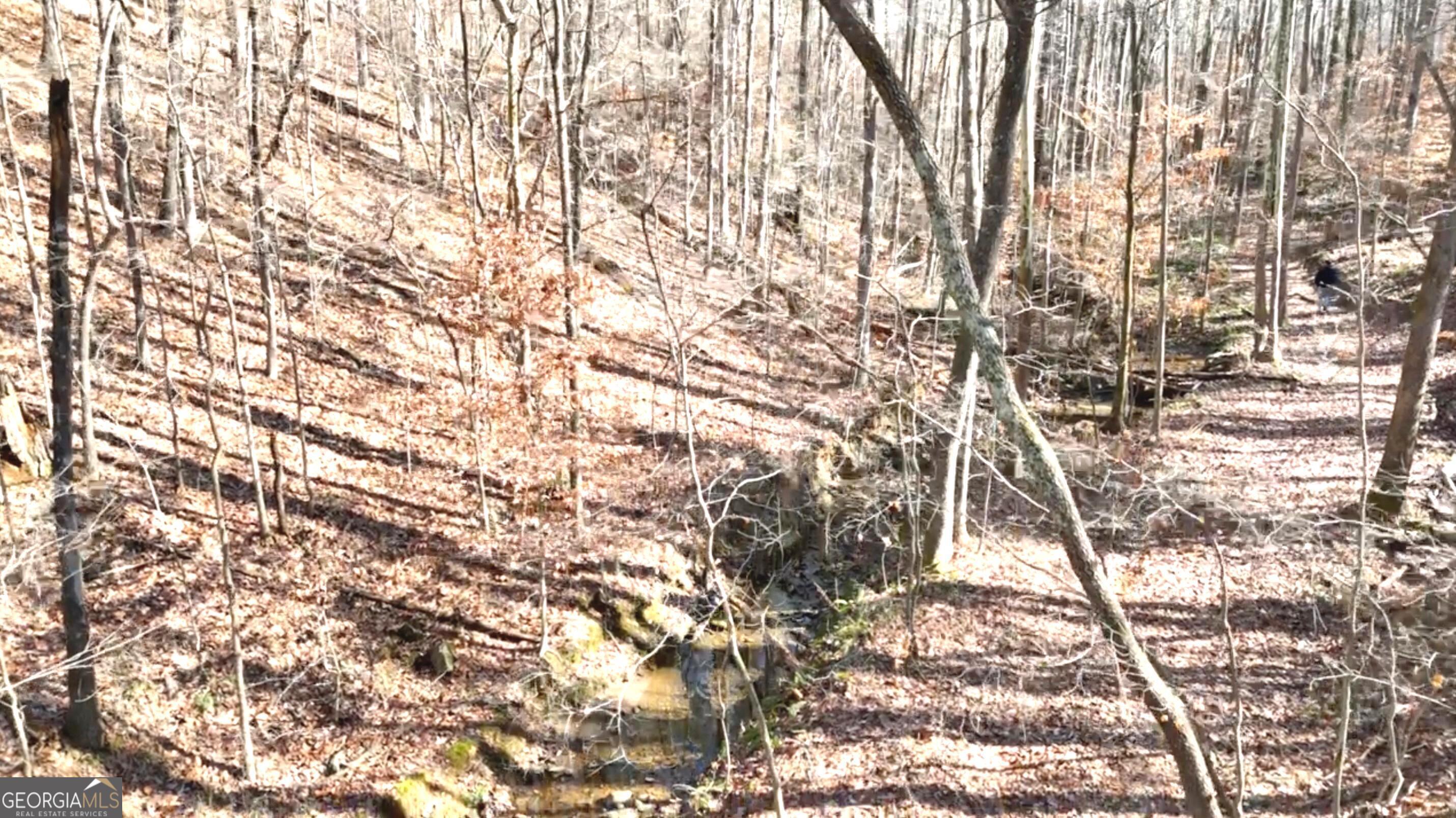 6147 Little Ridge Road Acworth GA 30102