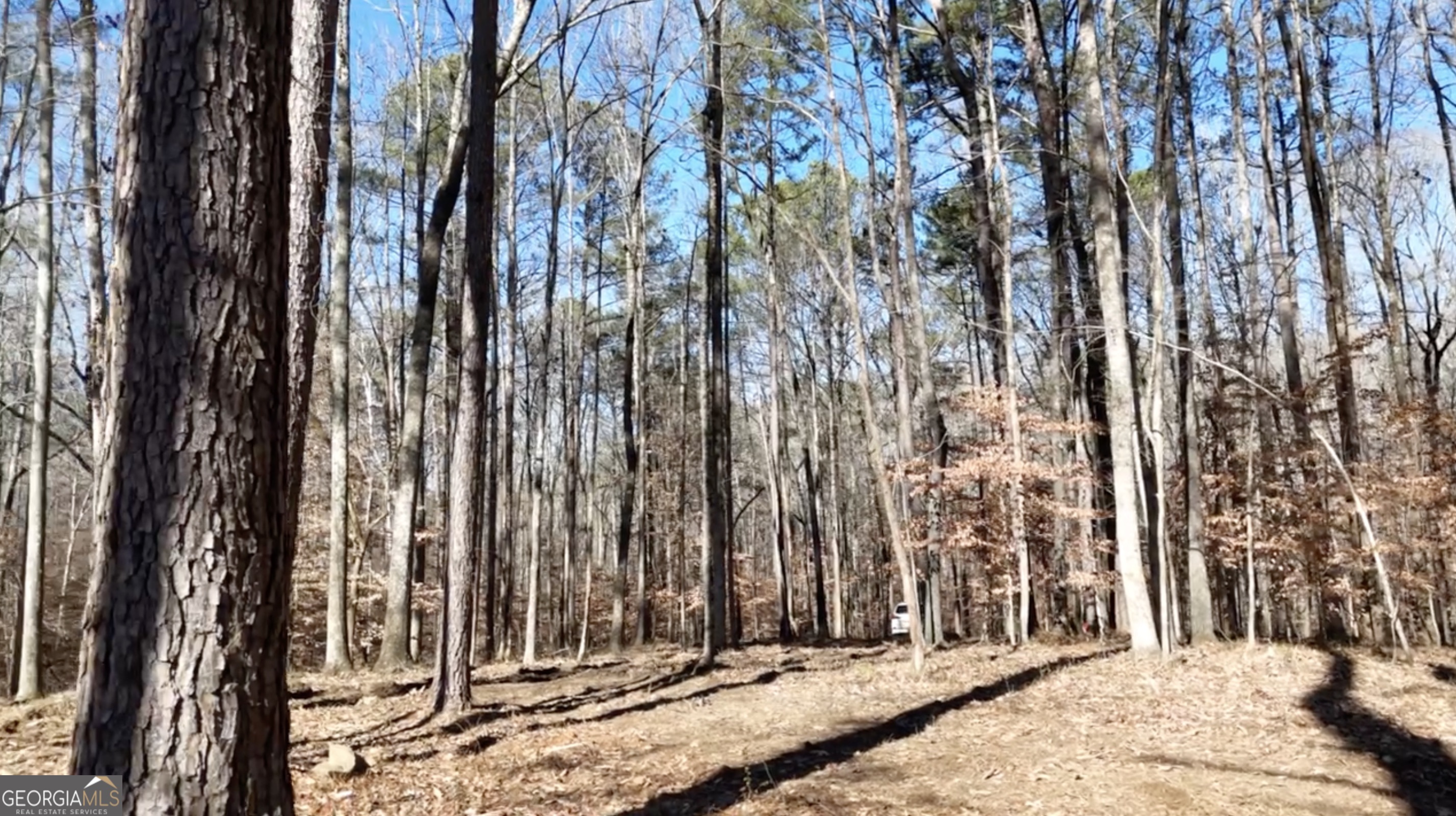6147 Little Ridge Road Acworth GA 30102