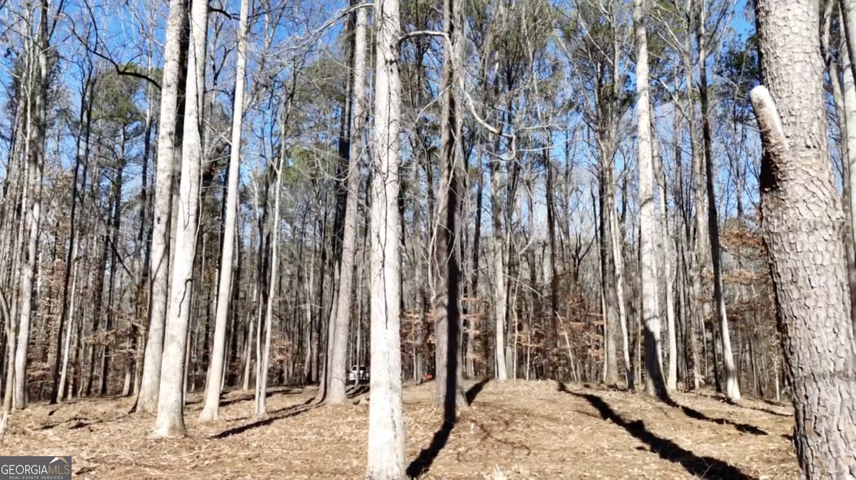 6147 Little Ridge Road Acworth GA 30102