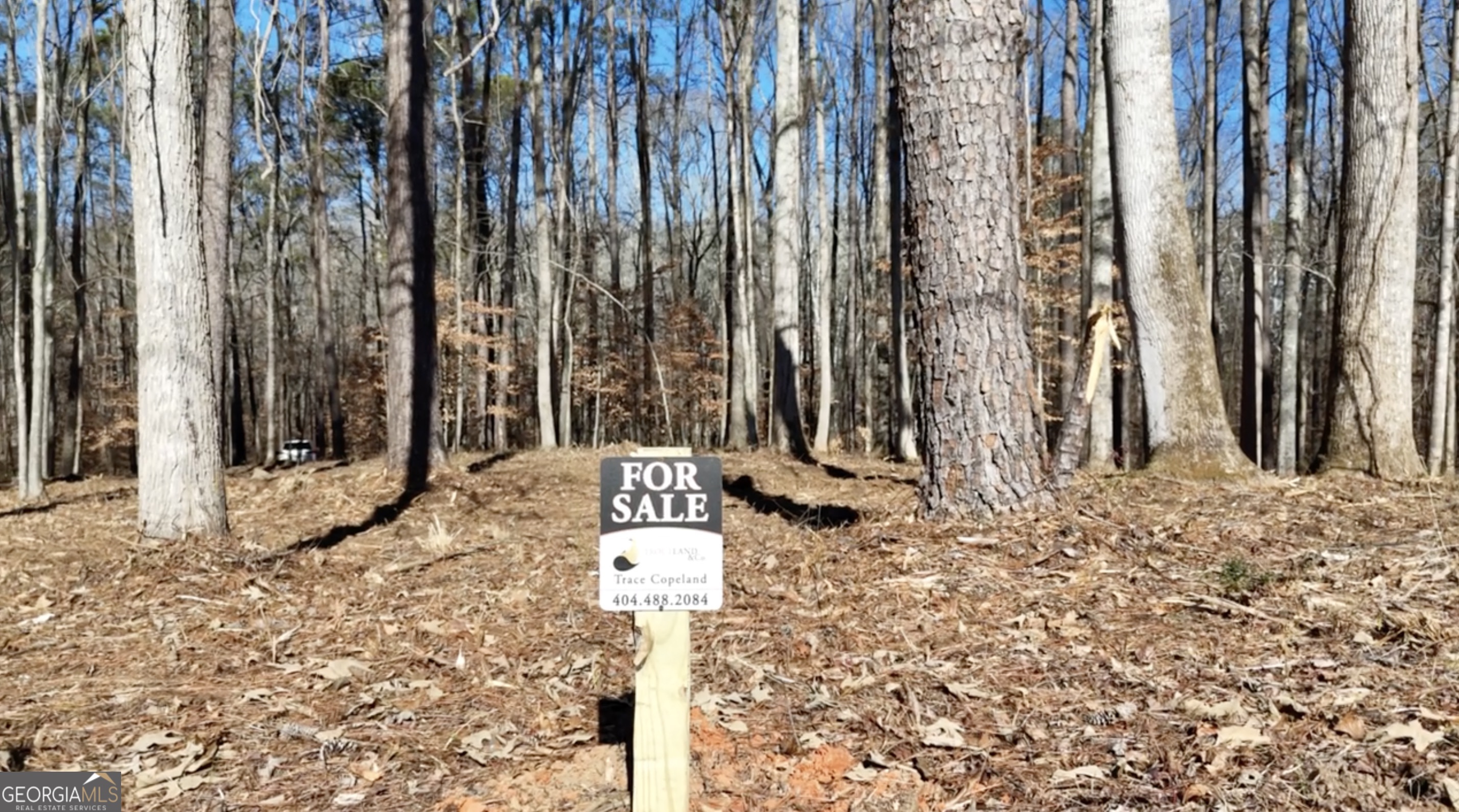 6147 Little Ridge Road Acworth GA 30102