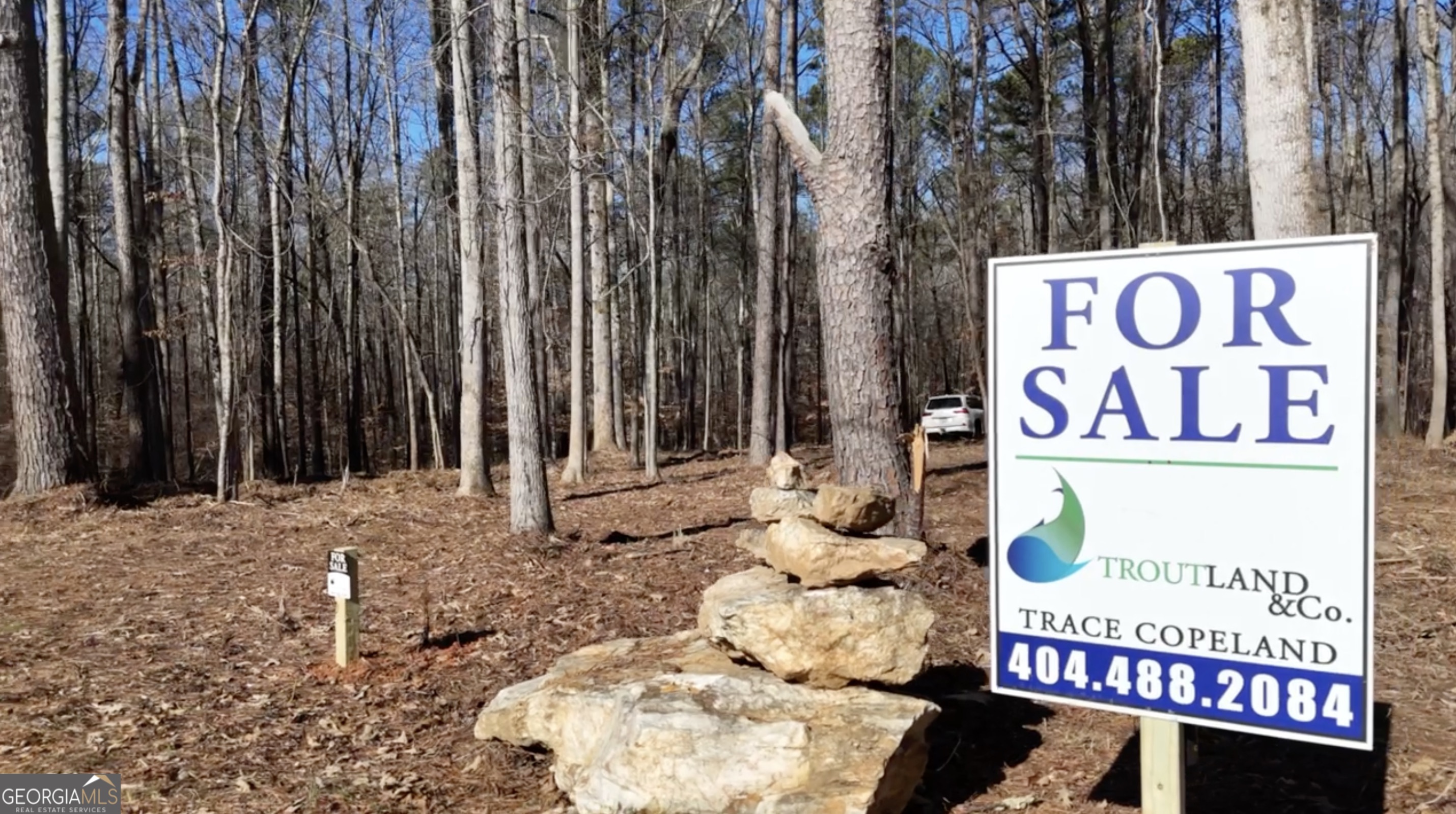 6147 Little Ridge Road Acworth GA 30102