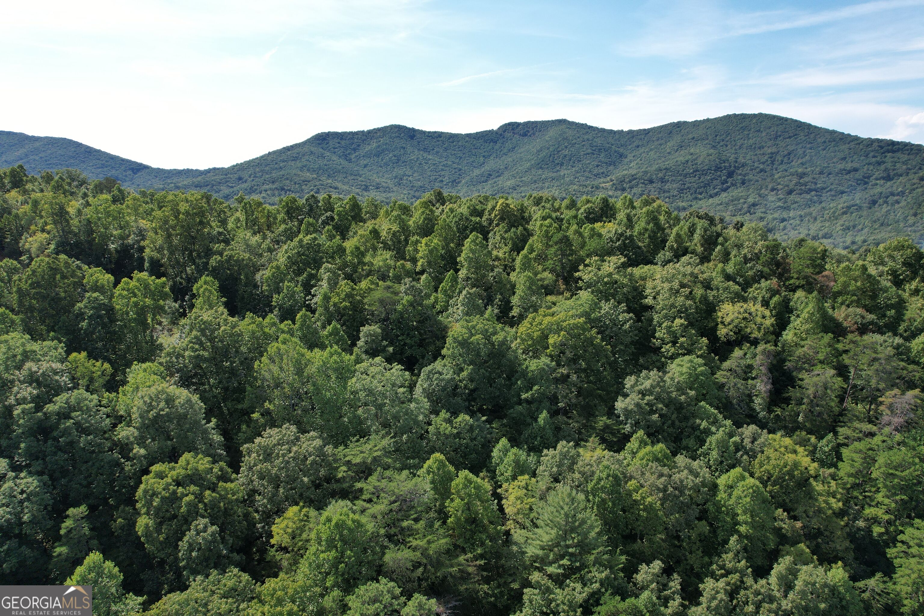 573 Sunnyside Road Hiawassee GA 30546