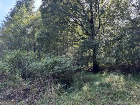 573 Sunnyside Road Hiawassee GA 30546