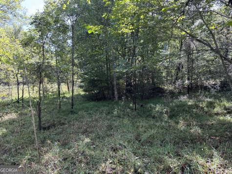 573 Sunnyside Road Hiawassee GA 30546