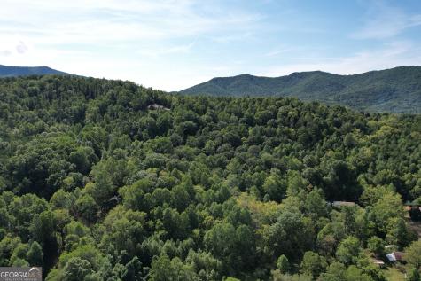 573 Sunnyside Road Hiawassee GA 30546