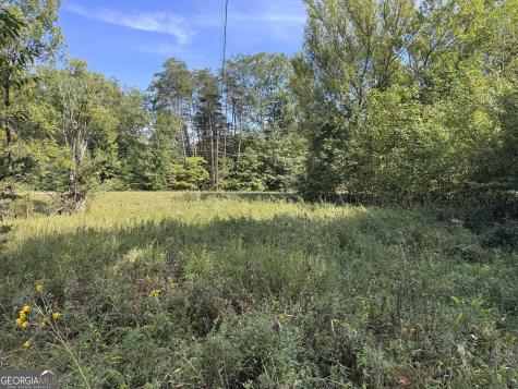 573 Sunnyside Road Hiawassee GA 30546