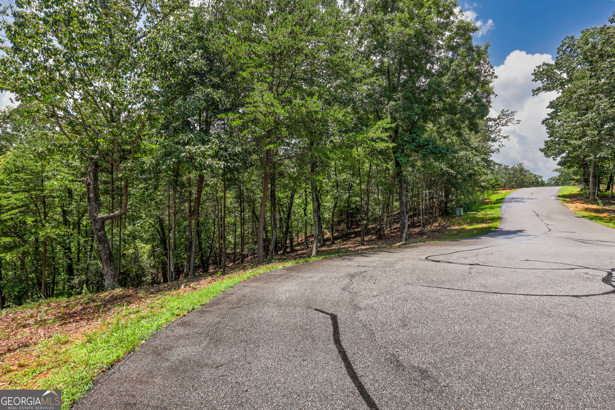 Lot 138 Timber Rock Drive Cleveland GA 30528