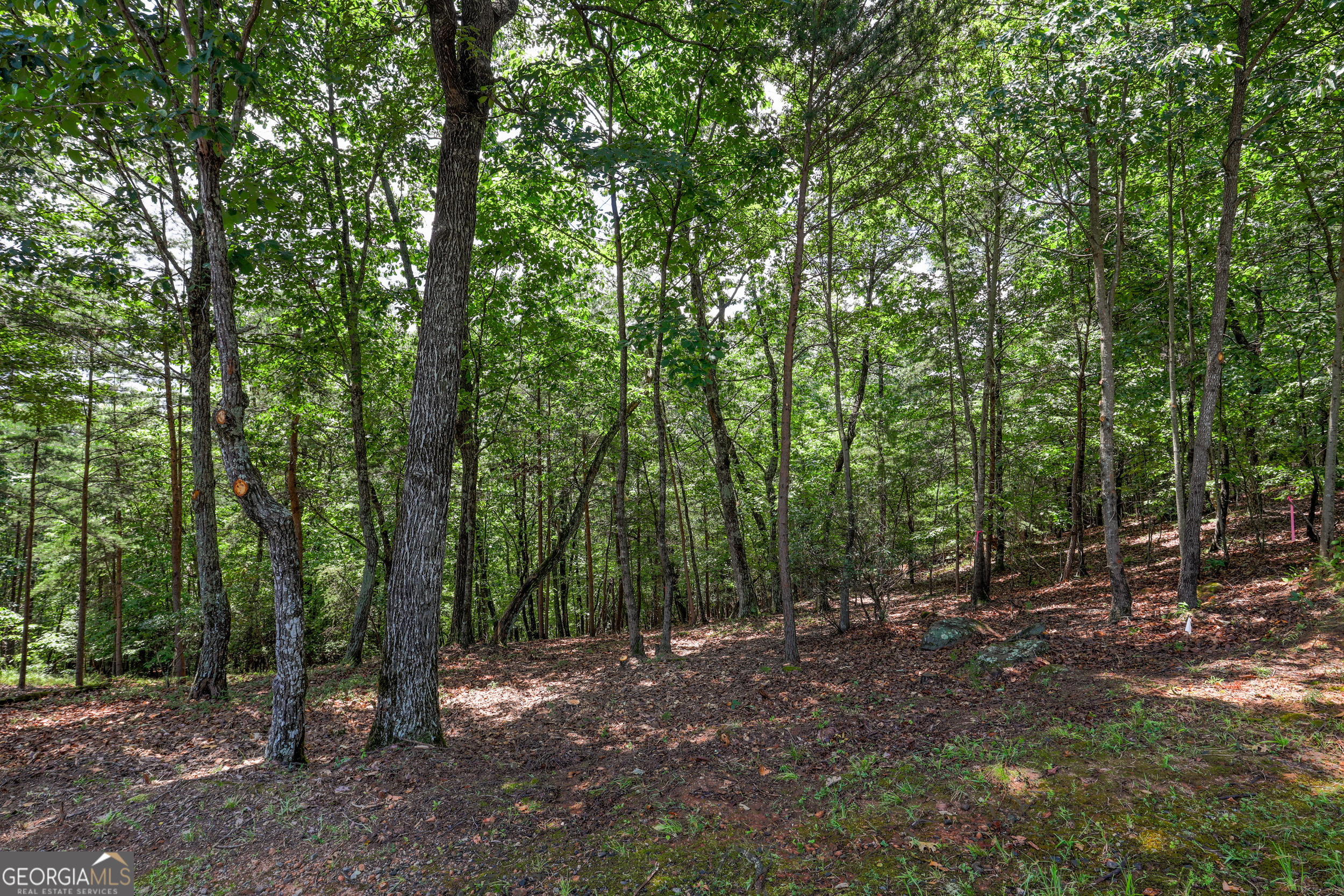 Lot 138 Timber Rock Drive Cleveland GA 30528