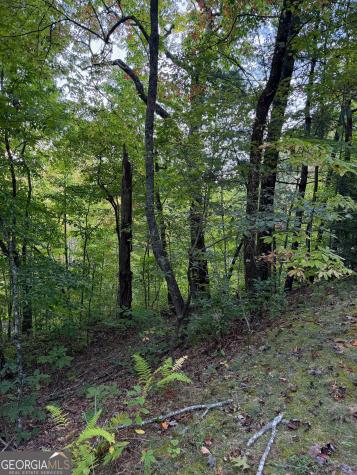 0 Round Top Clayton GA 30525