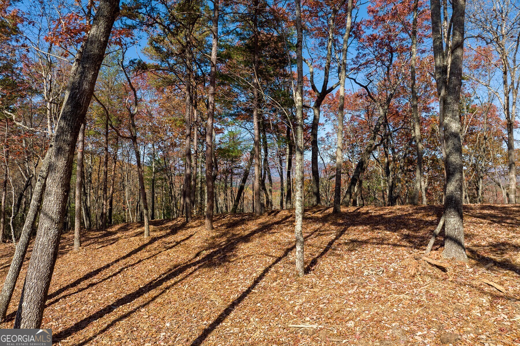 Lot 40 Preserve Trail Ellijay GA 30536