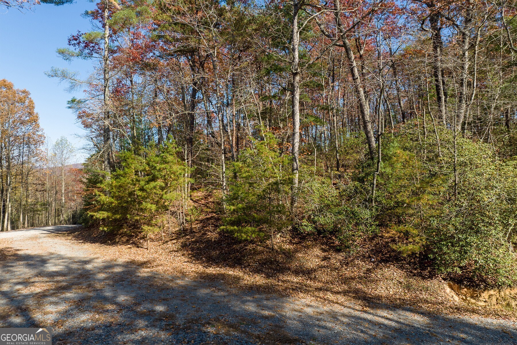 Lot 40 Preserve Trail Ellijay GA 30536