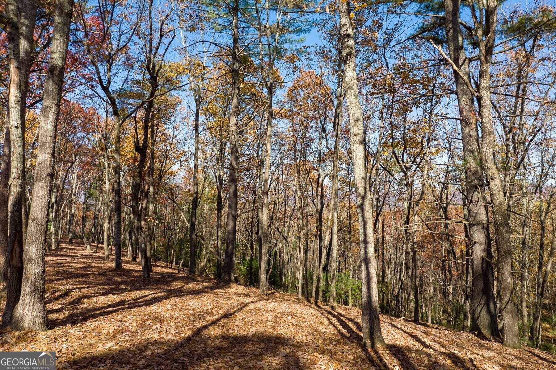 Lot 40 Preserve Trail Ellijay GA 30536
