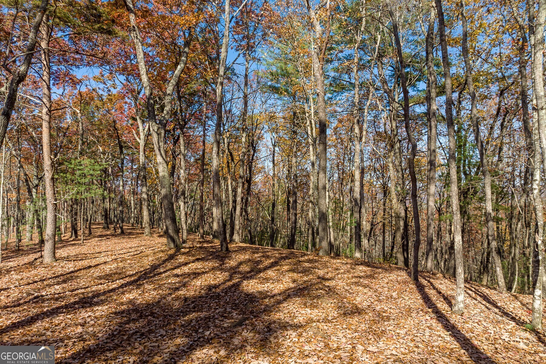 Lot 40 Preserve Trail Ellijay GA 30536