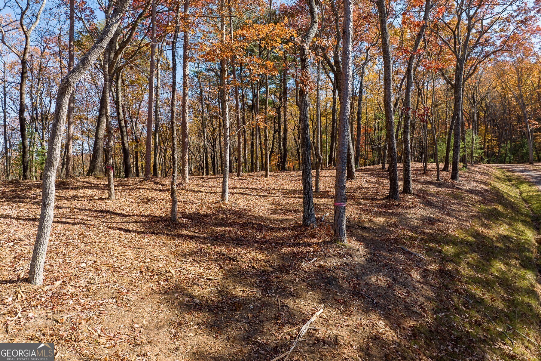 Lot 40 Preserve Trail Ellijay GA 30536