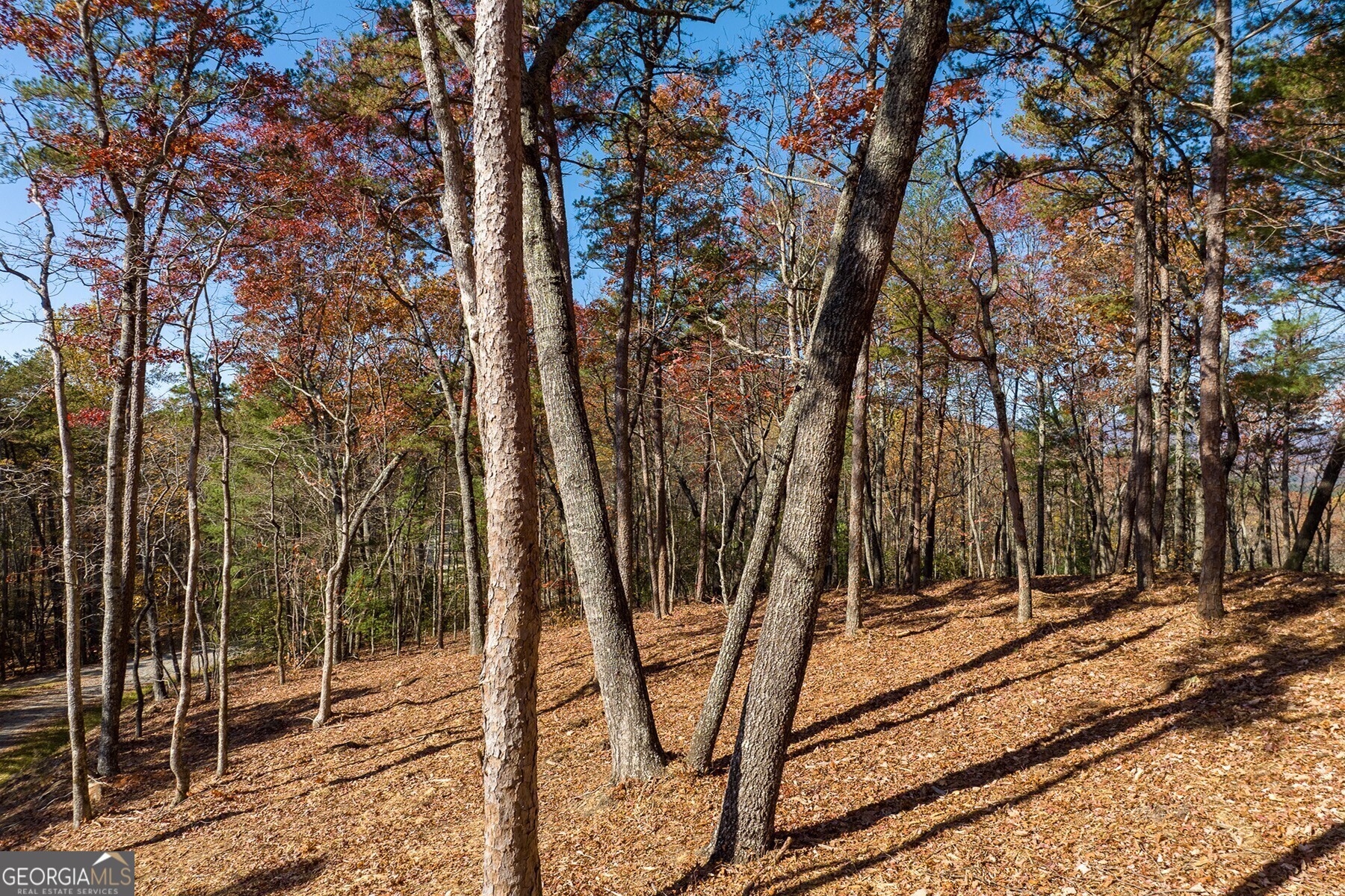 Lot 40 Preserve Trail Ellijay GA 30536