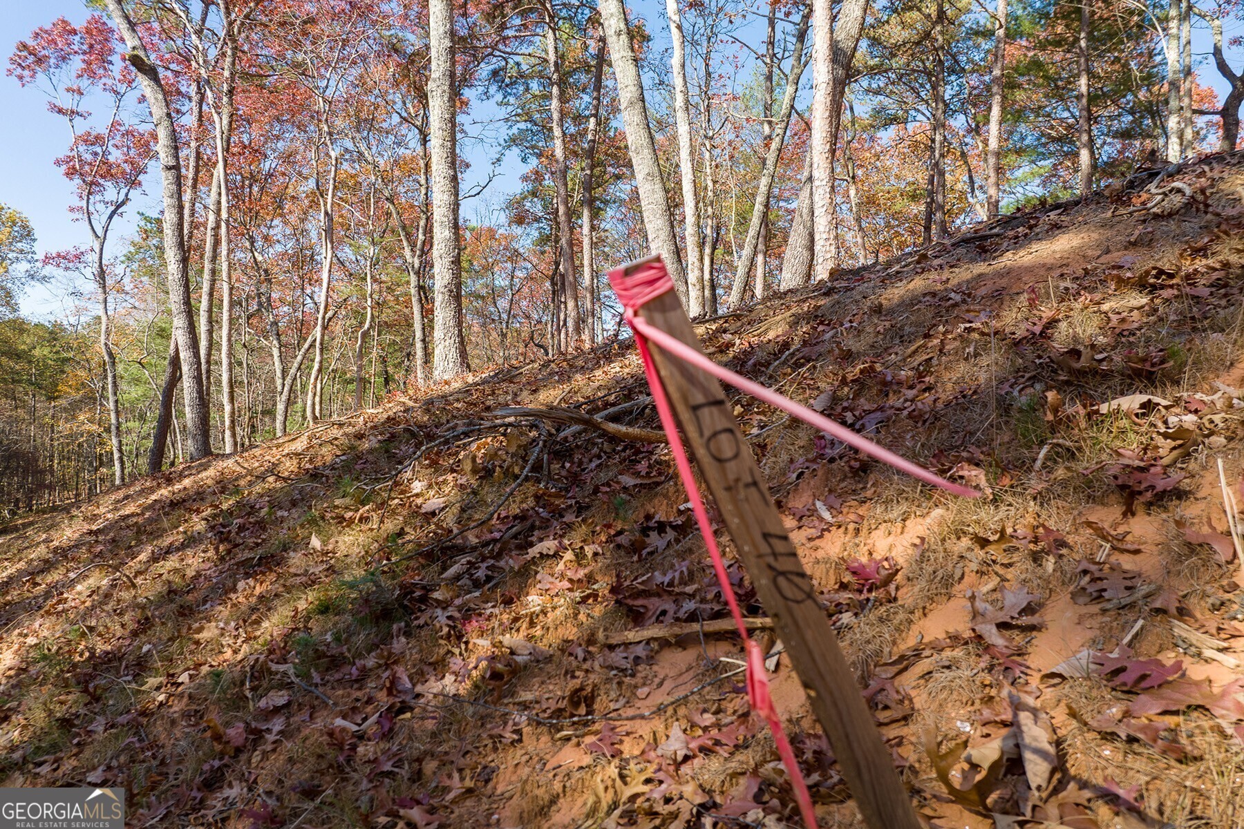 Lot 40 Preserve Trail Ellijay GA 30536