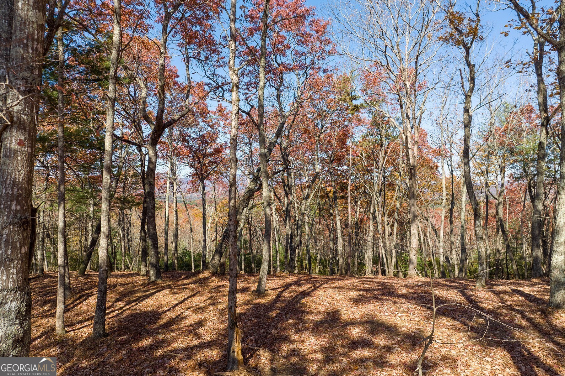 Lot 40 Preserve Trail Ellijay GA 30536