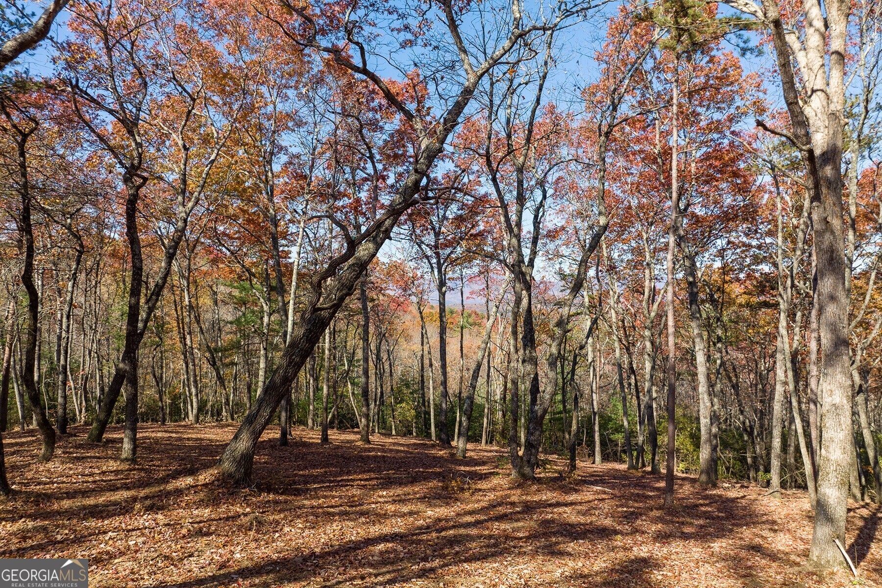 Lot 40 Preserve Trail Ellijay GA 30536