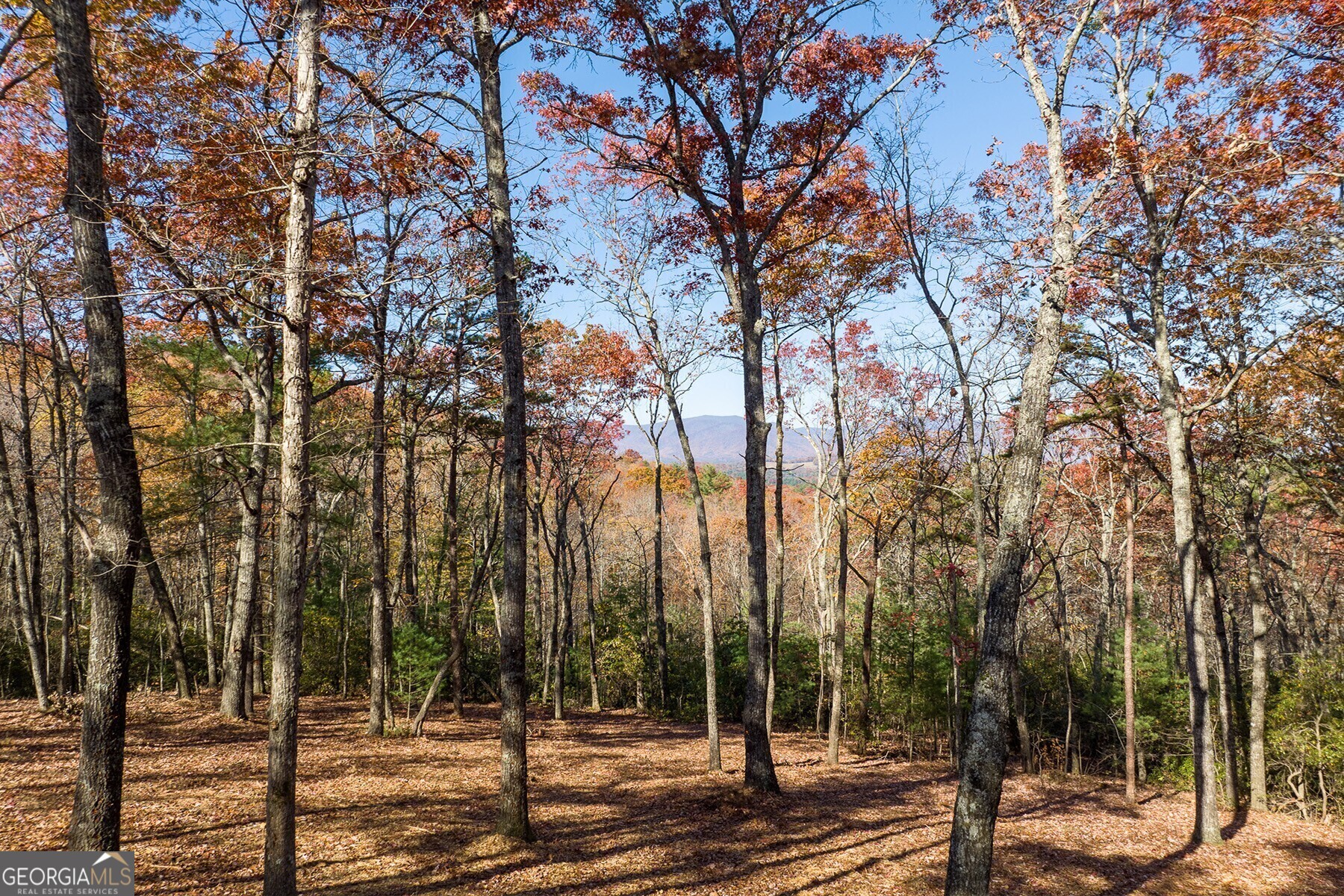 Lot 40 Preserve Trail Ellijay GA 30536