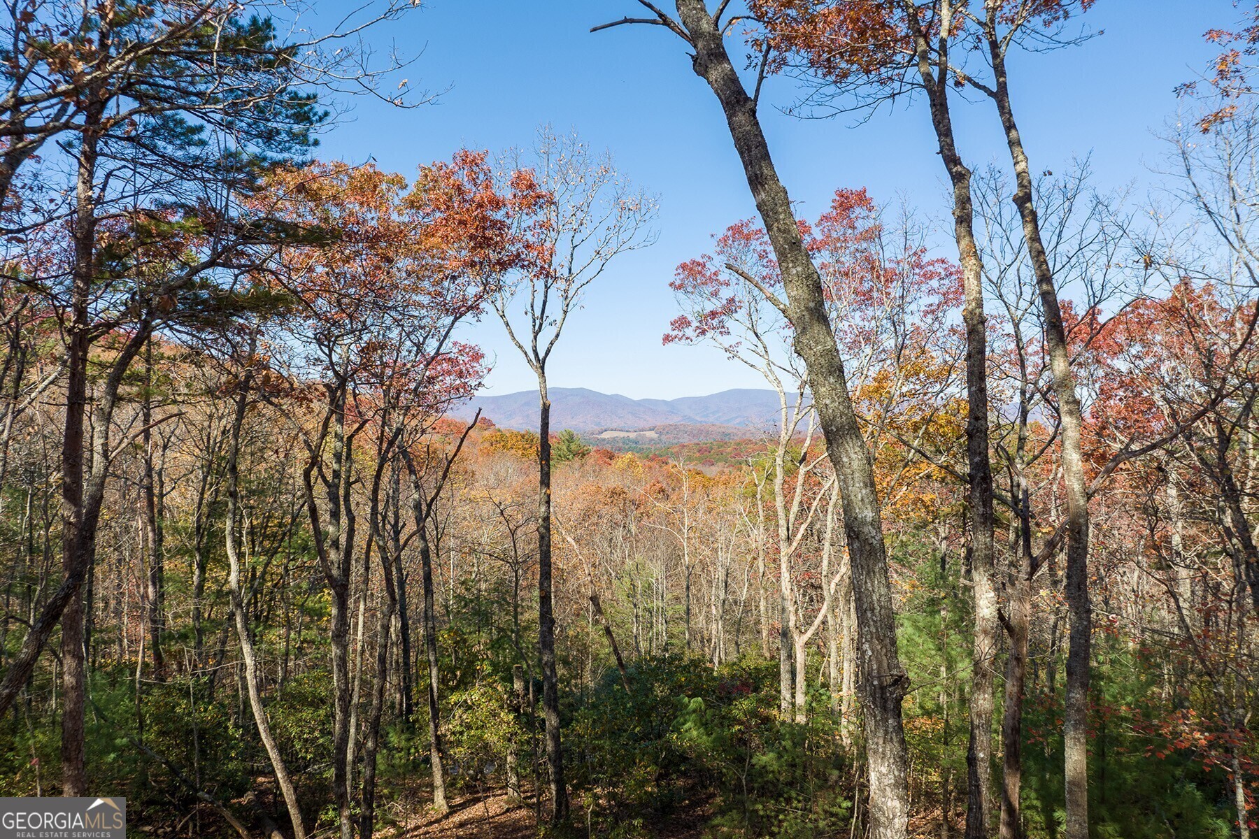 Lot 40 Preserve Trail Ellijay GA 30536