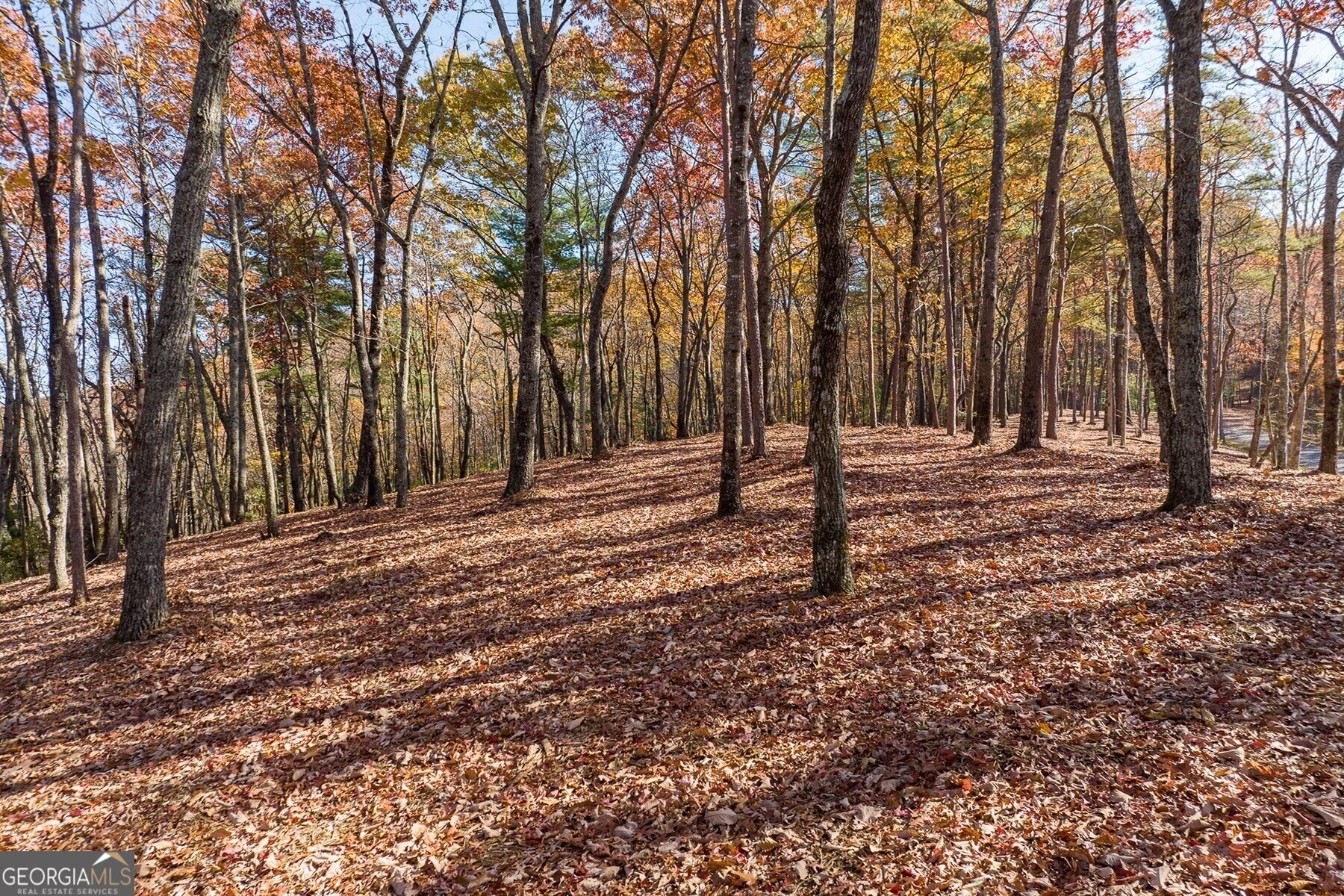 Lot 40 Preserve Trail Ellijay GA 30536