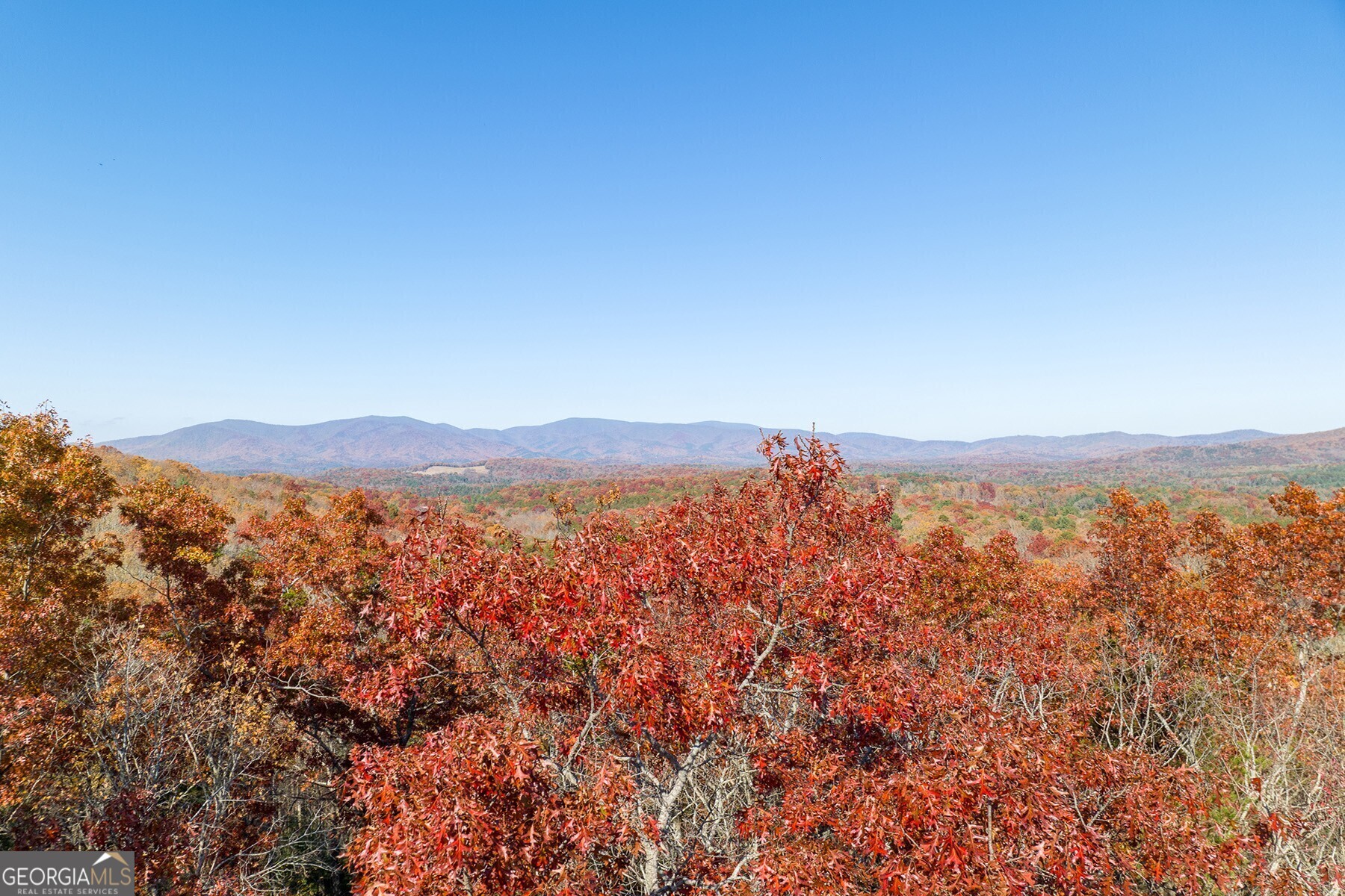 Lot 40 Preserve Trail Ellijay GA 30536