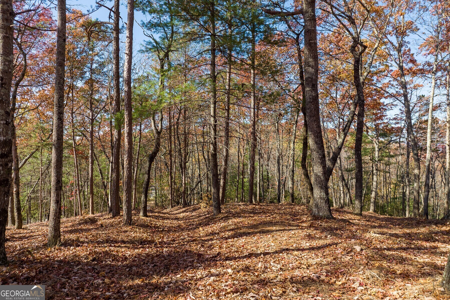 Lot 40 Preserve Trail Ellijay GA 30536