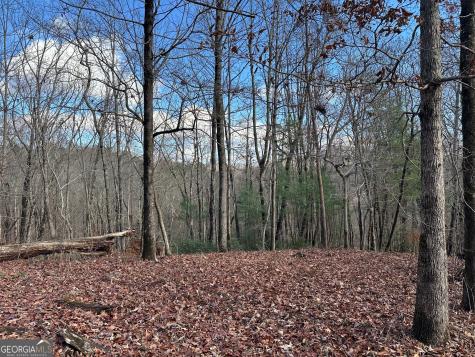 200 Mincey Acres Drive Murrayville GA 30564