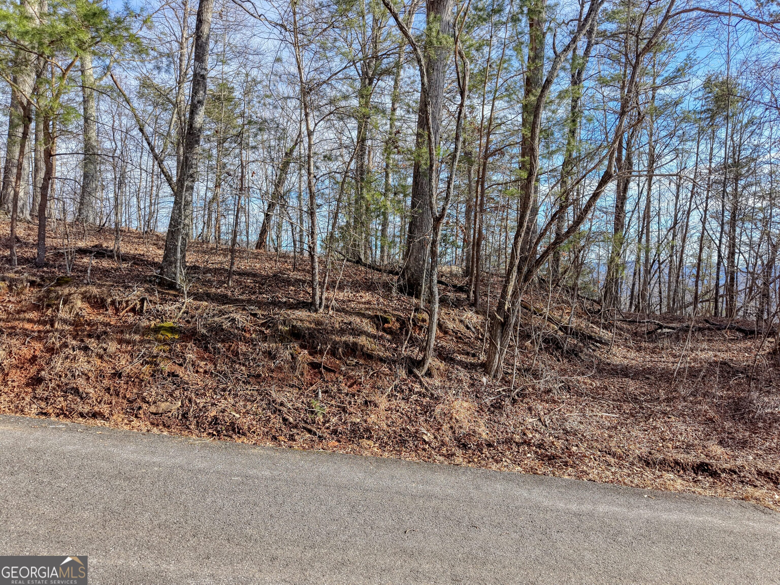Lot 5 Harris Ridge Young Harris GA 30582